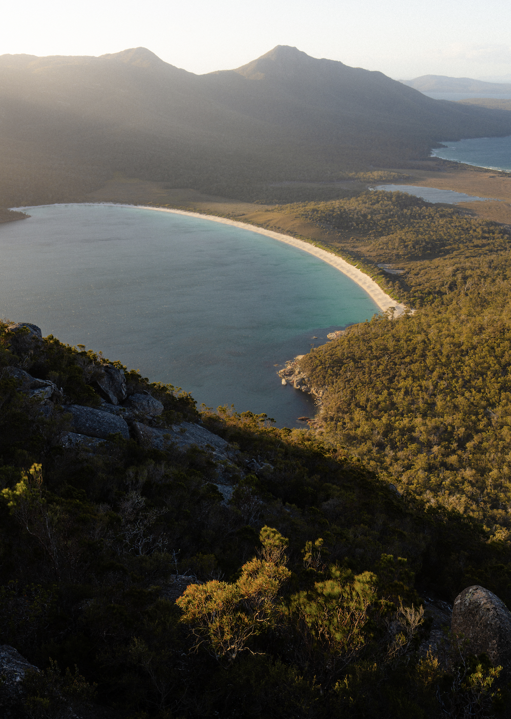 Screen Shot 2026-01-07 at 12.00.58 PM.png