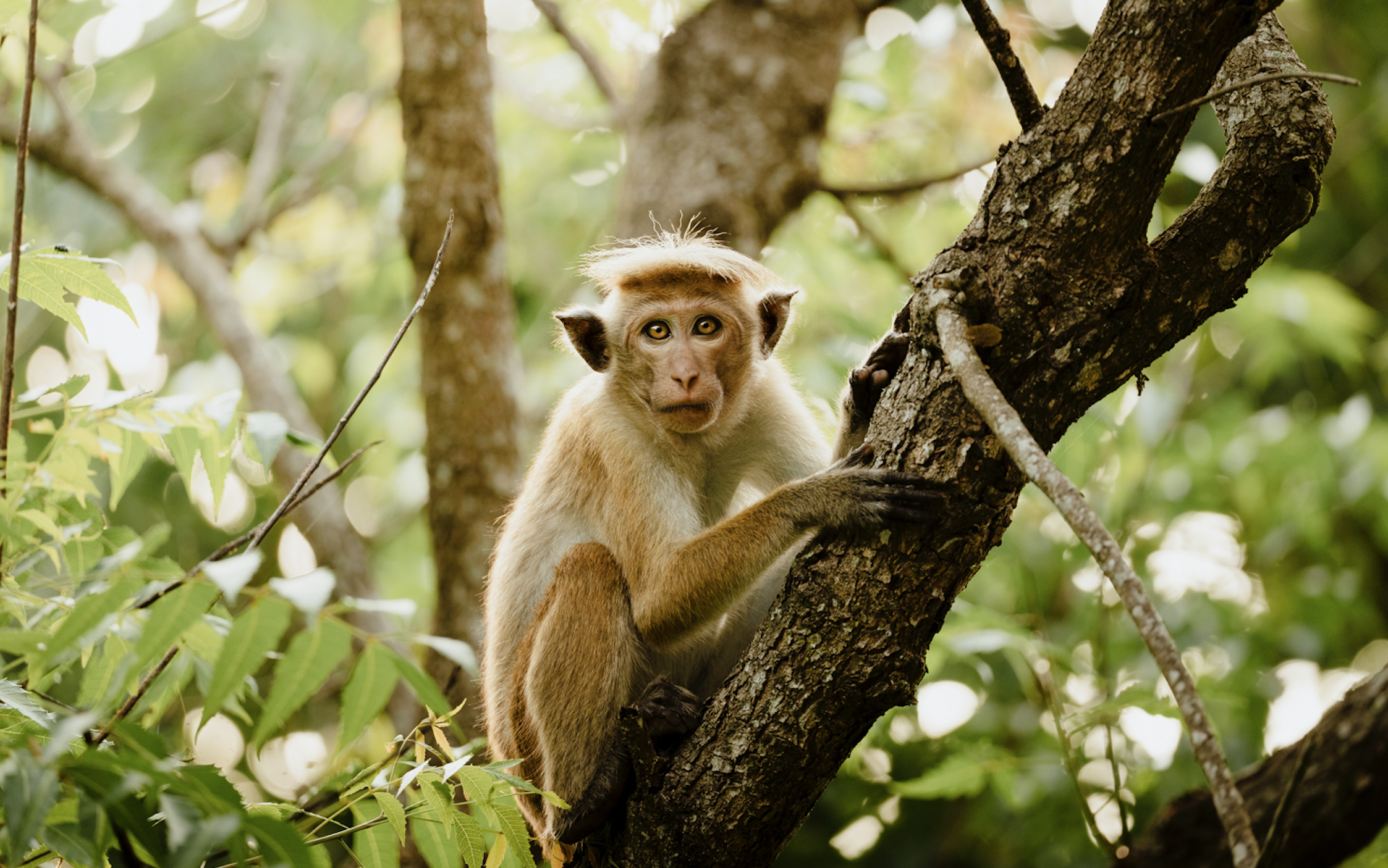 Screen Shot 2025-11-30 at 11.59.21 AM.png