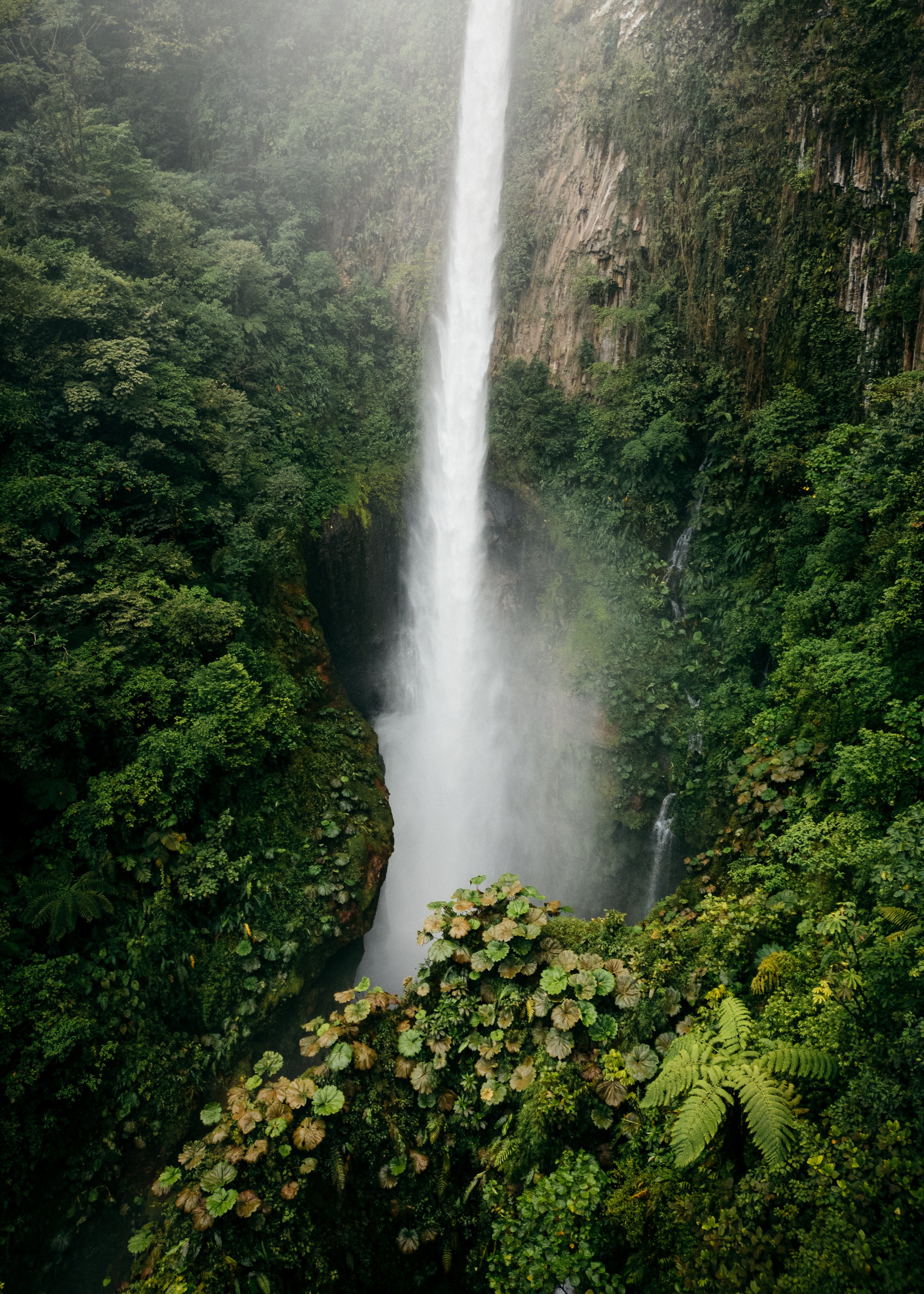 DJI_0793.jpg