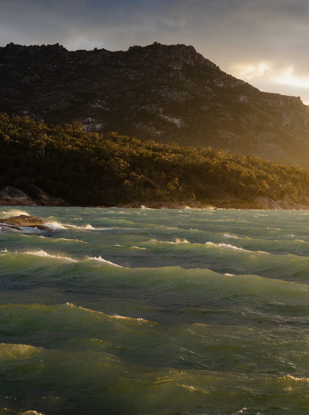 Screen Shot 2026-01-07 at 12.05.13 PM.png