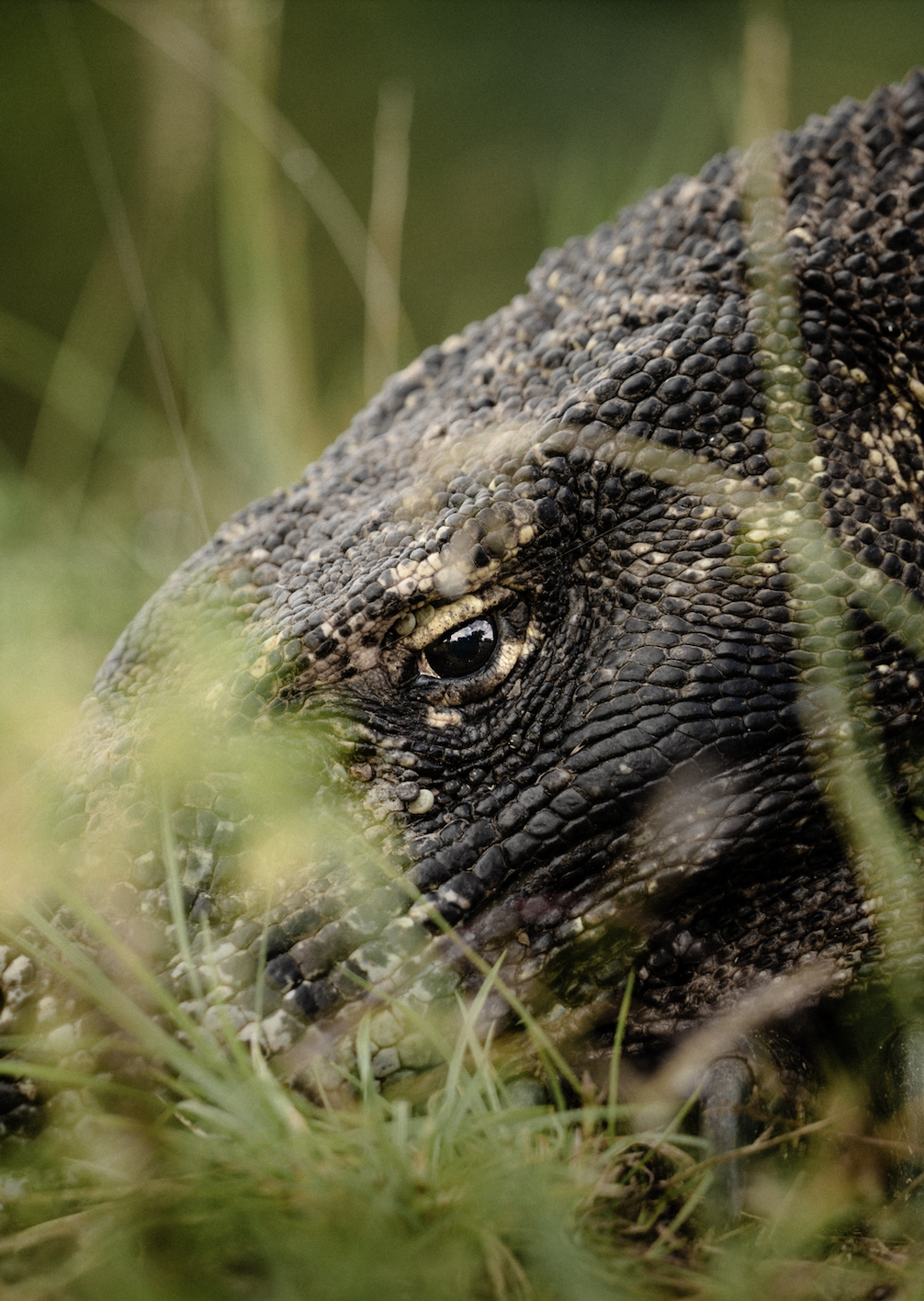 Screen Shot 2026-04-23 at 11.36.36 AM.png