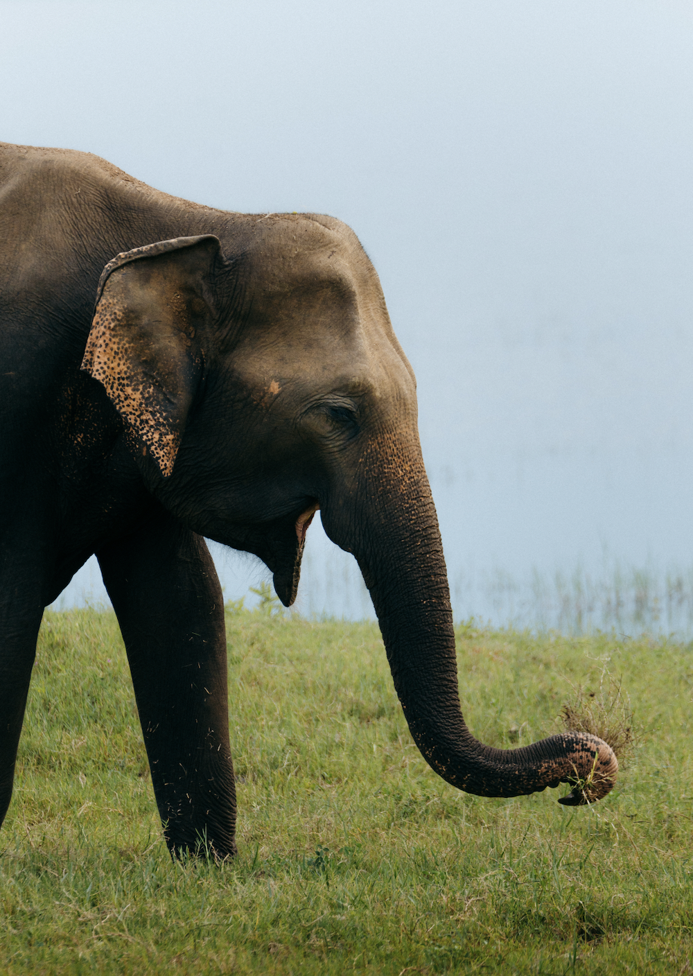 Screen Shot 2025-11-30 at 11.53.12 AM.png