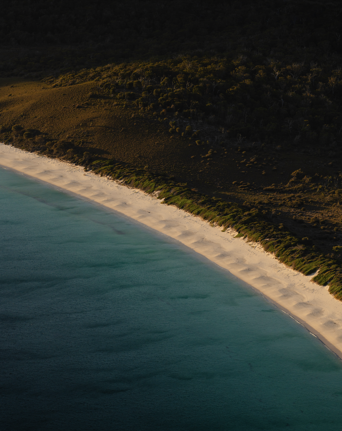 Screen Shot 2026-01-07 at 12.05.25 PM.png