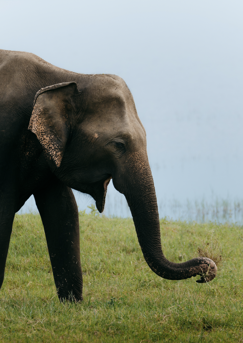 Screen Shot 2025-12-07 at 12.26.54 PM.png