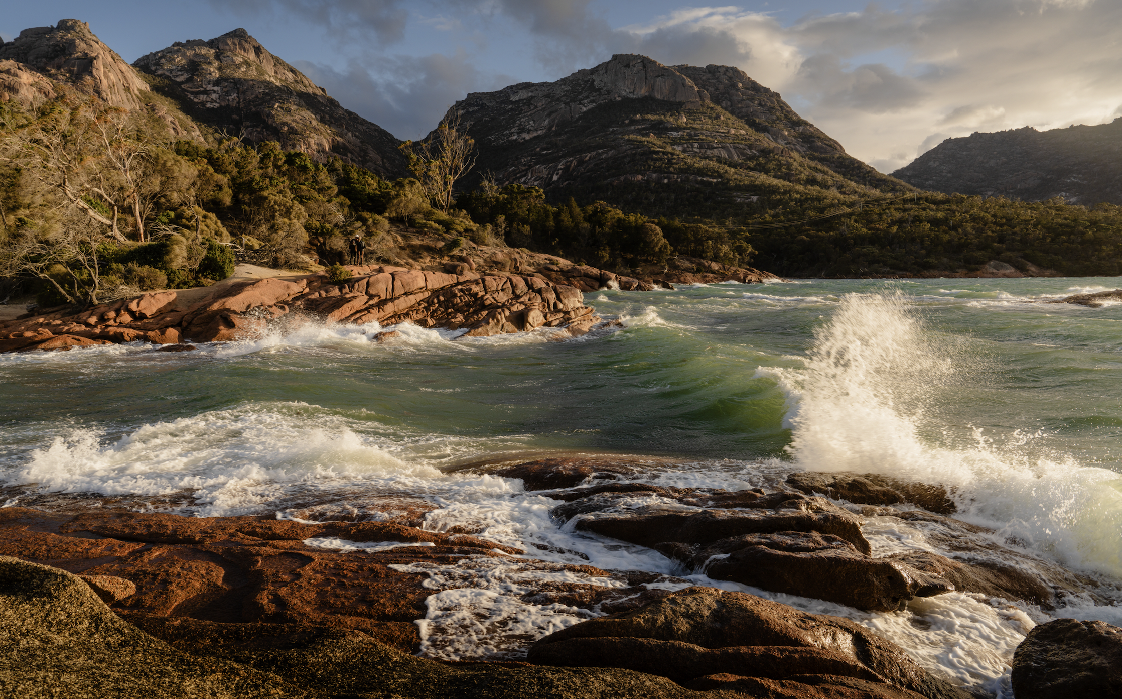 Screen Shot 2026-01-07 at 12.05.00 PM.png