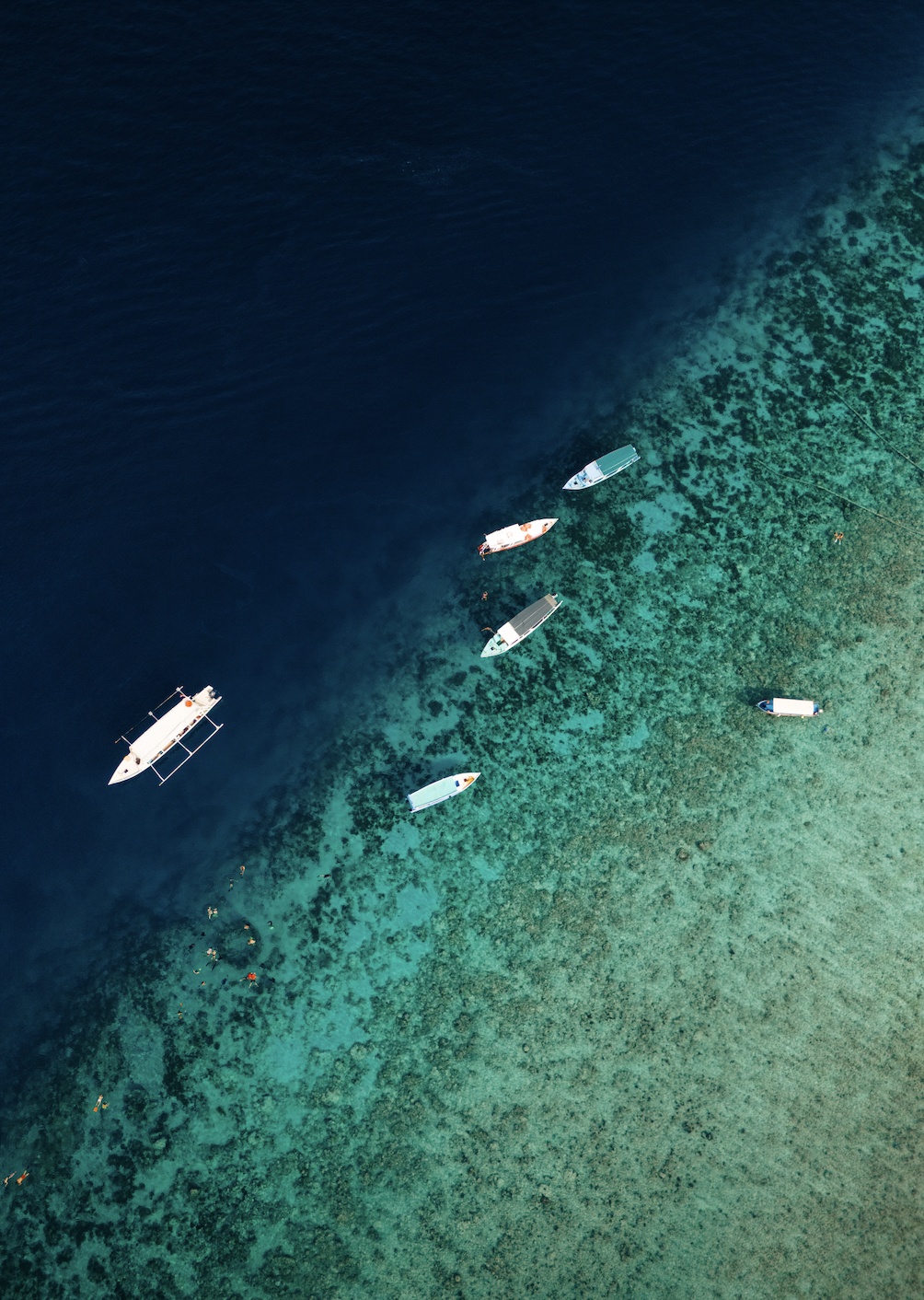 Screen Shot 2026-04-23 at 11.41.31 AM.png