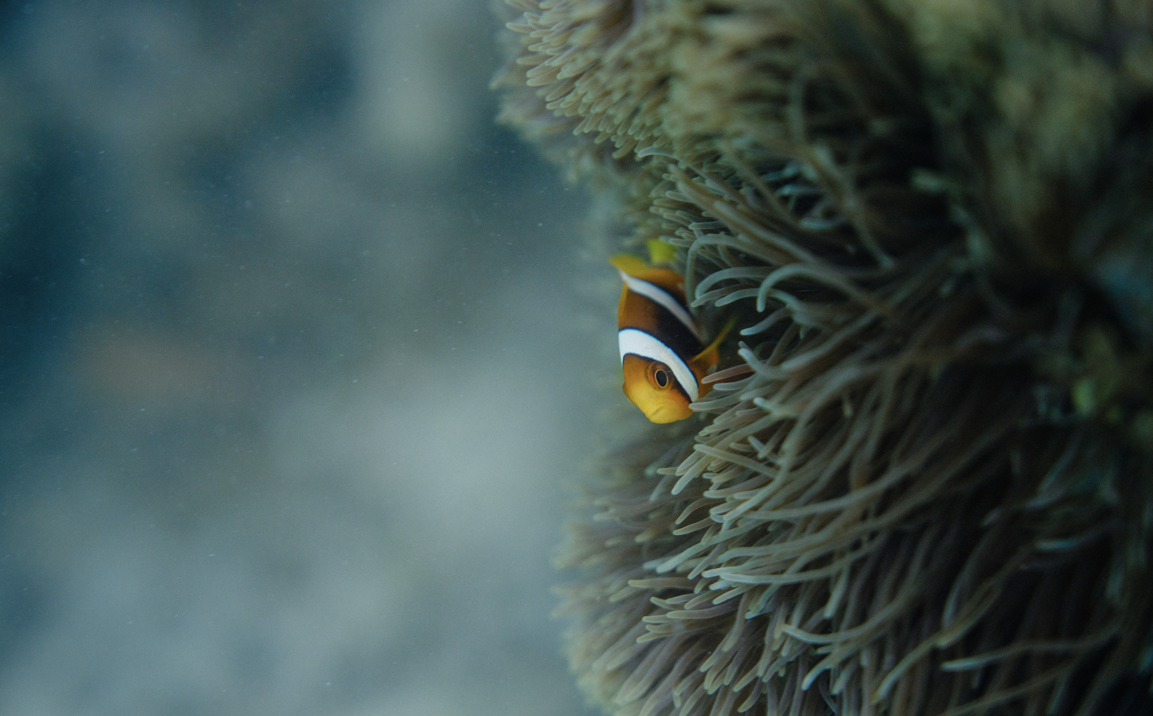 Screen Shot 2026-03-28 at 5.33.29 PM.png