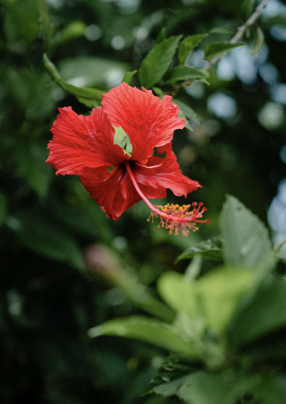 Screen Shot 2026-03-28 at 5.41.17 PM.png