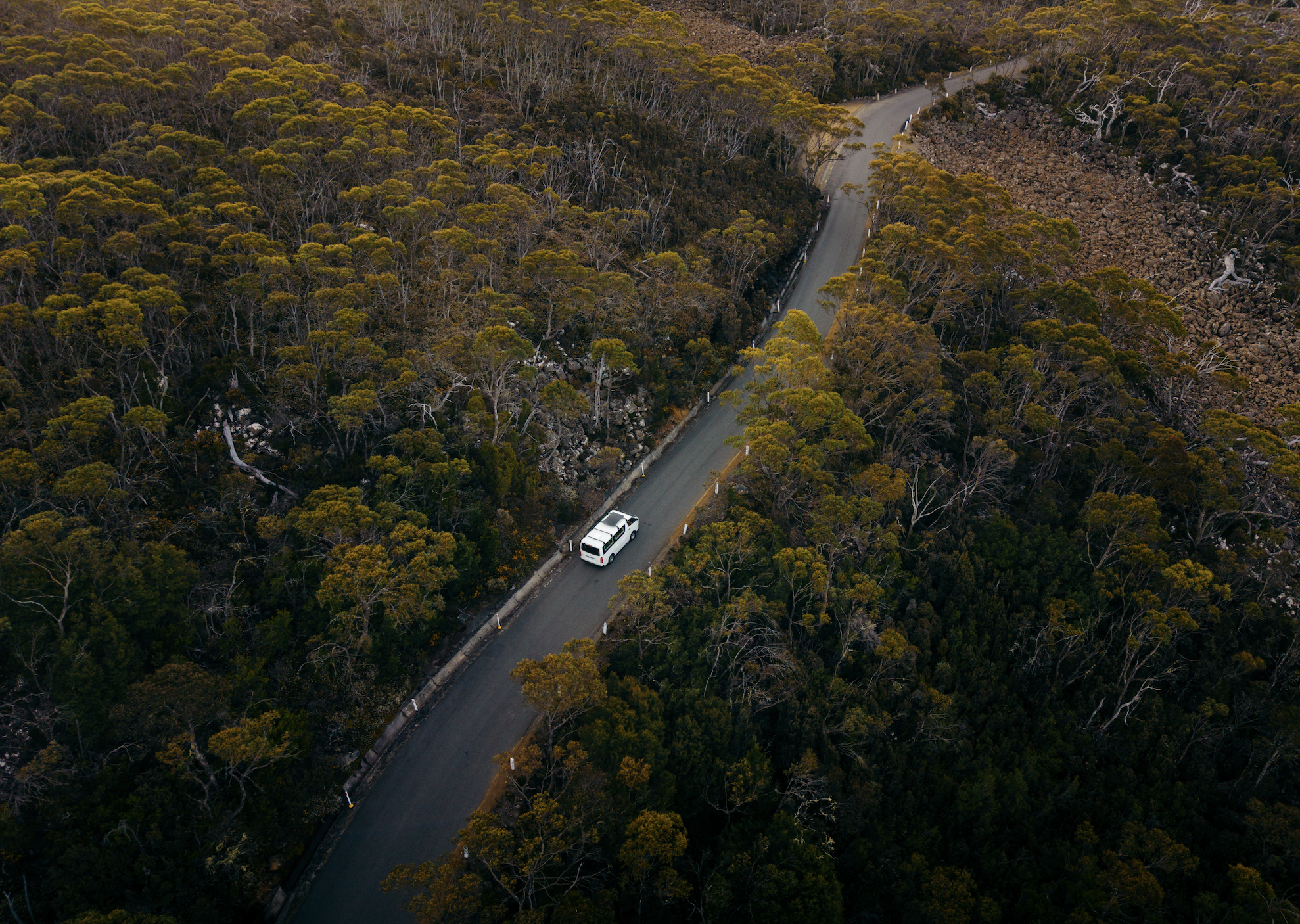 Screen Shot 2026-04-11 at 4.19.34 PM.png