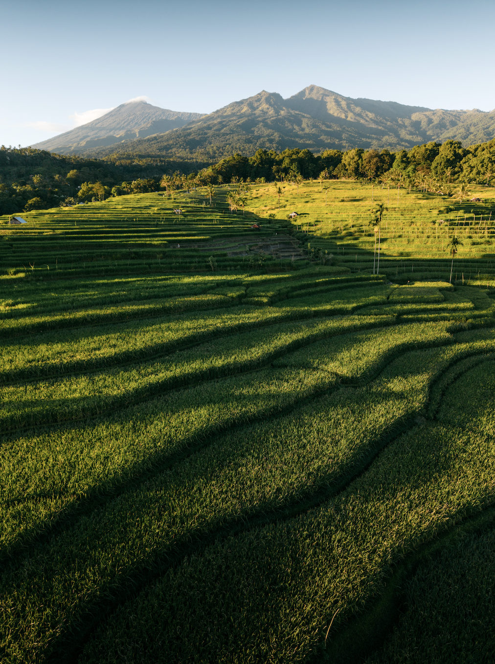  LOMBOK 