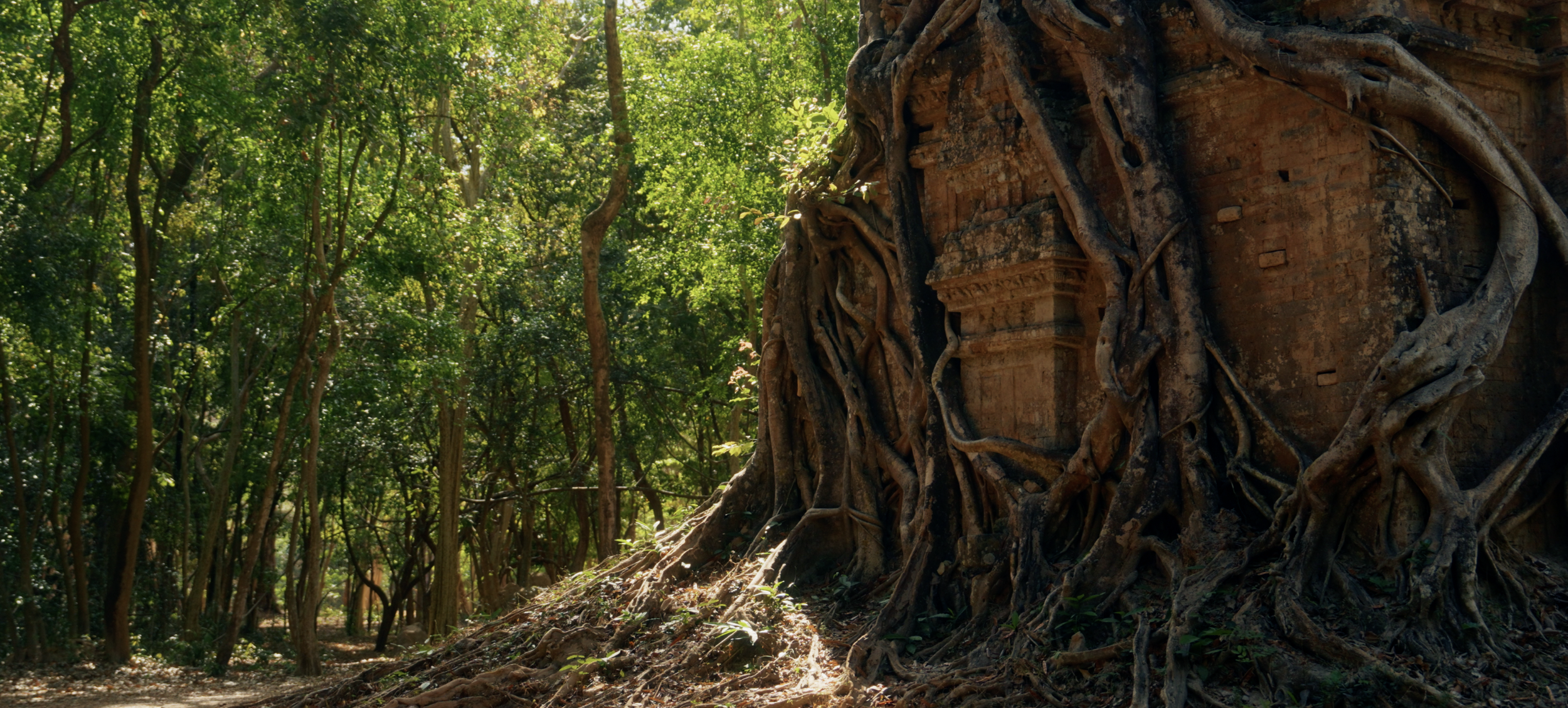 Screen Shot 2026-03-11 at 6.33.53 PM.png