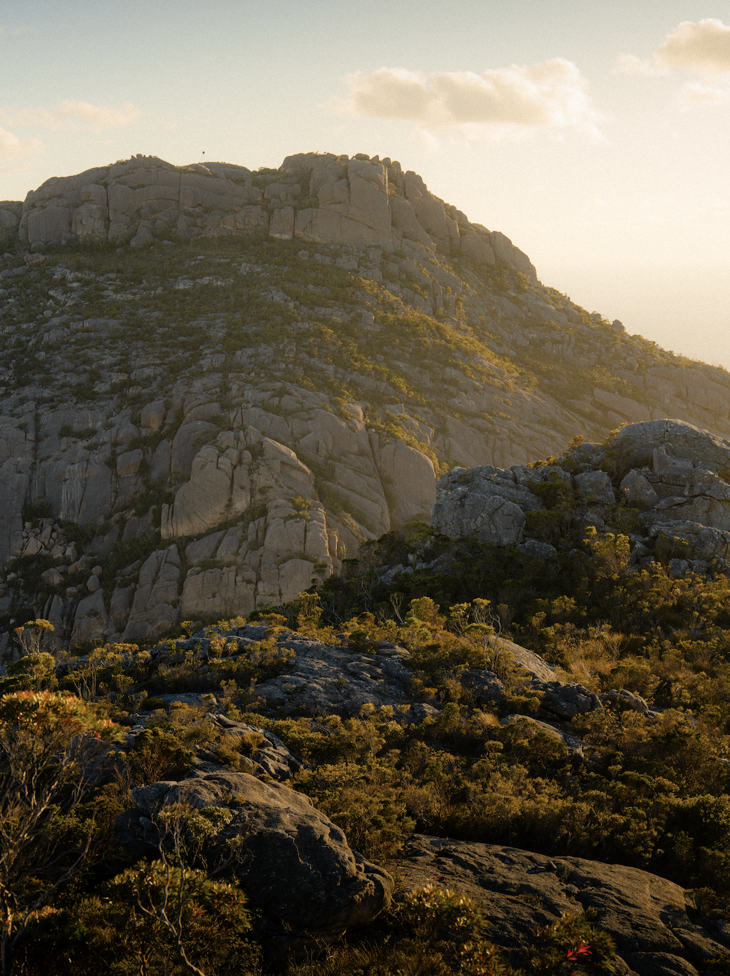 Screen Shot 2026-01-07 at 12.05.37 PM.png