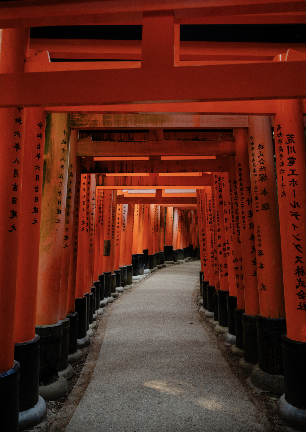 Screen Shot 2026-02-04 at 6.31.23 PM.png