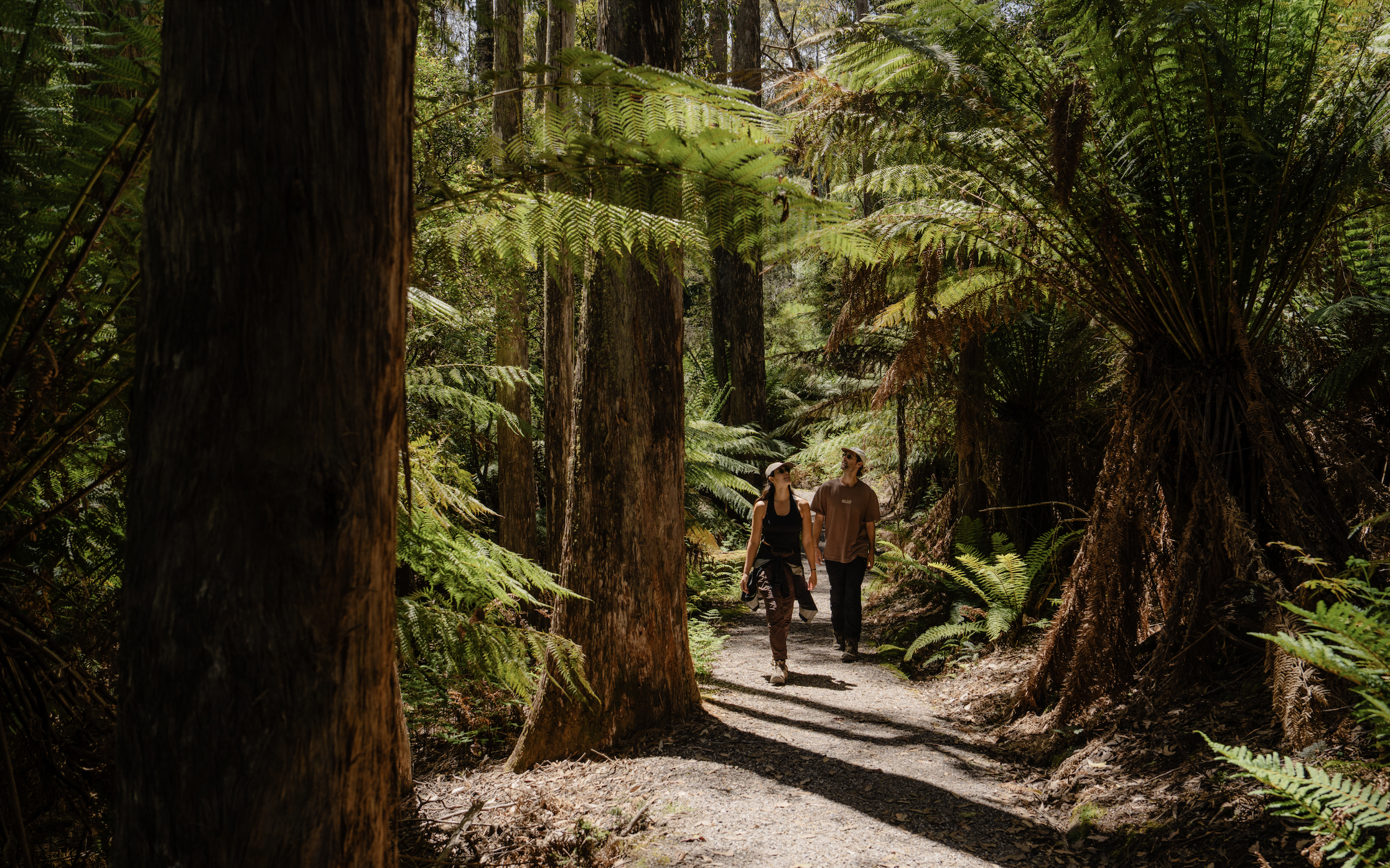 Screen Shot 2026-01-07 at 12.02.44 PM.png