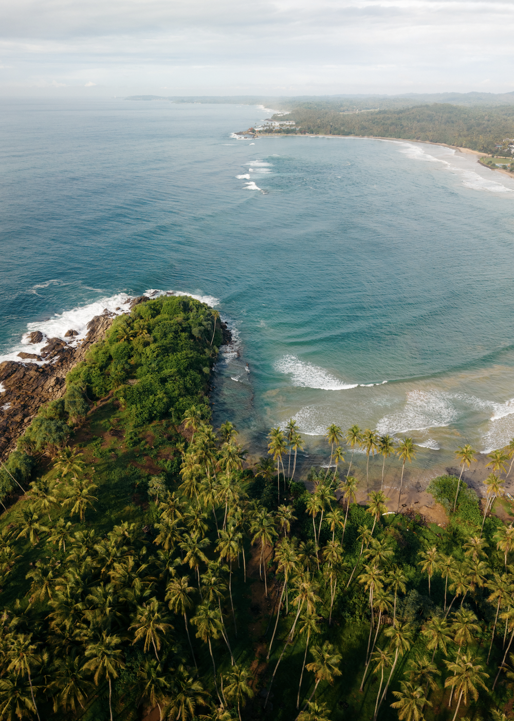 Screen Shot 2025-11-30 at 11.56.43 AM.png