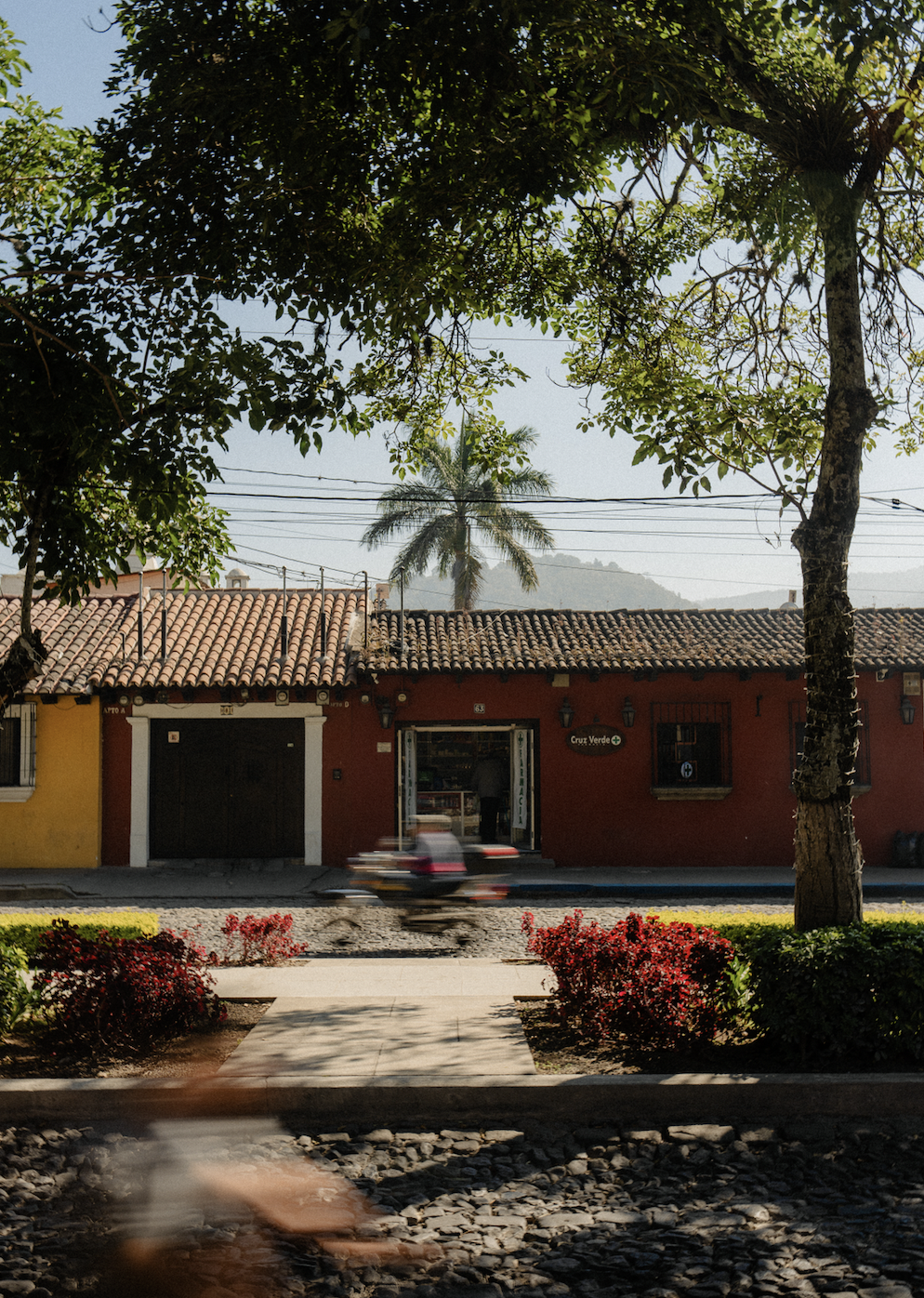 Screen Shot 2026-01-06 at 9.24.23 PM.png