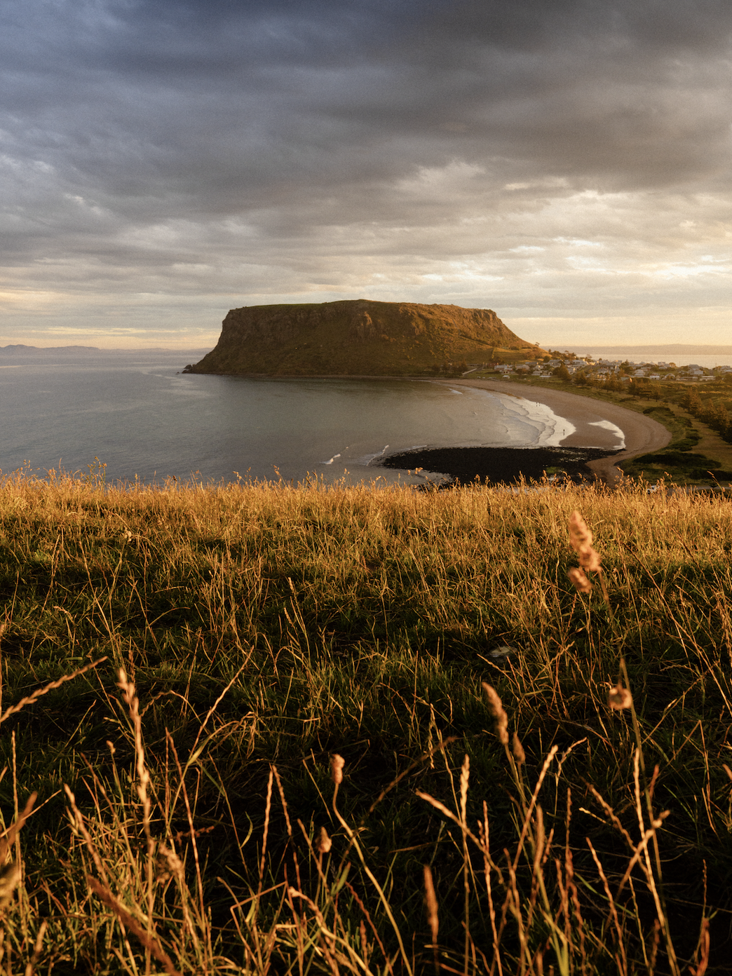 Screen Shot 2026-01-07 at 12.05.53 PM.png