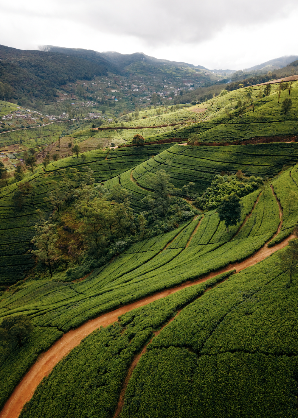 Screen Shot 2025-11-30 at 11.56.00 AM.png