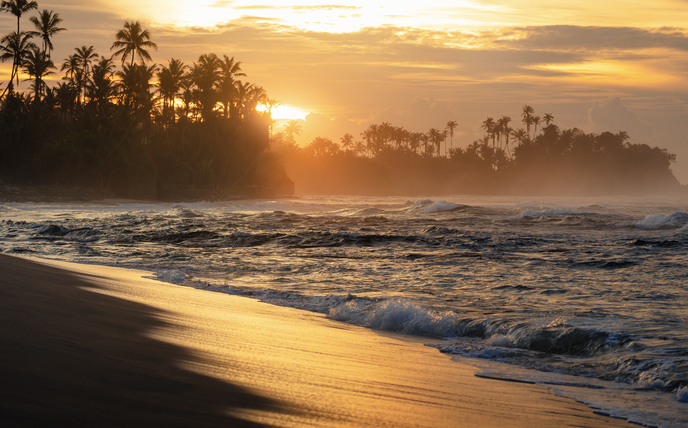 Screen Shot 2025-11-30 at 11.55.15 AM.png