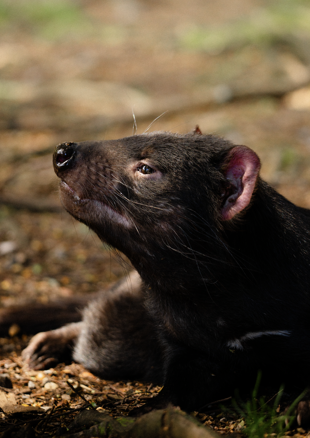 Screen Shot 2026-01-07 at 12.02.24 PM.png