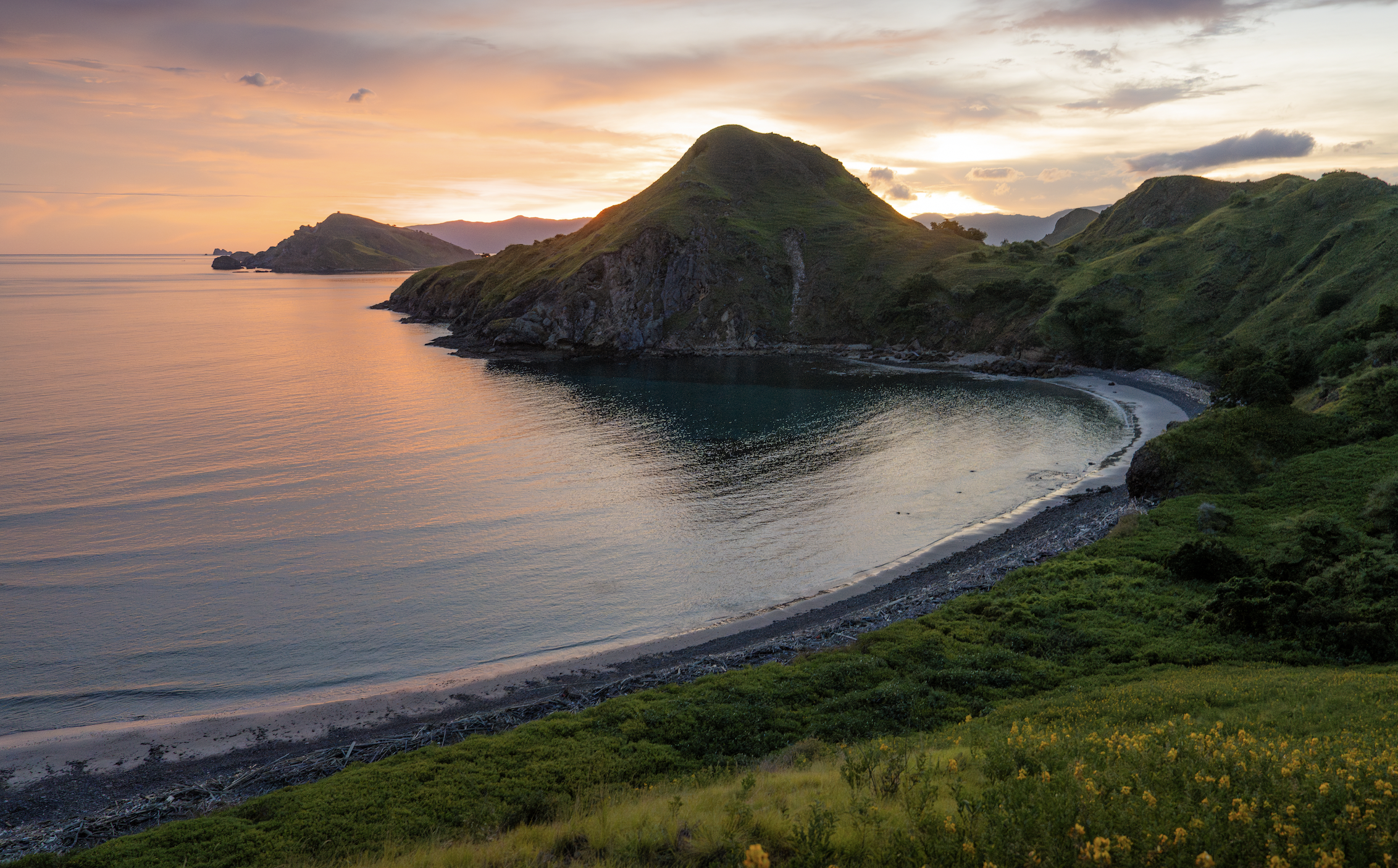 Screen Shot 2026-04-23 at 11.40.08 AM.png