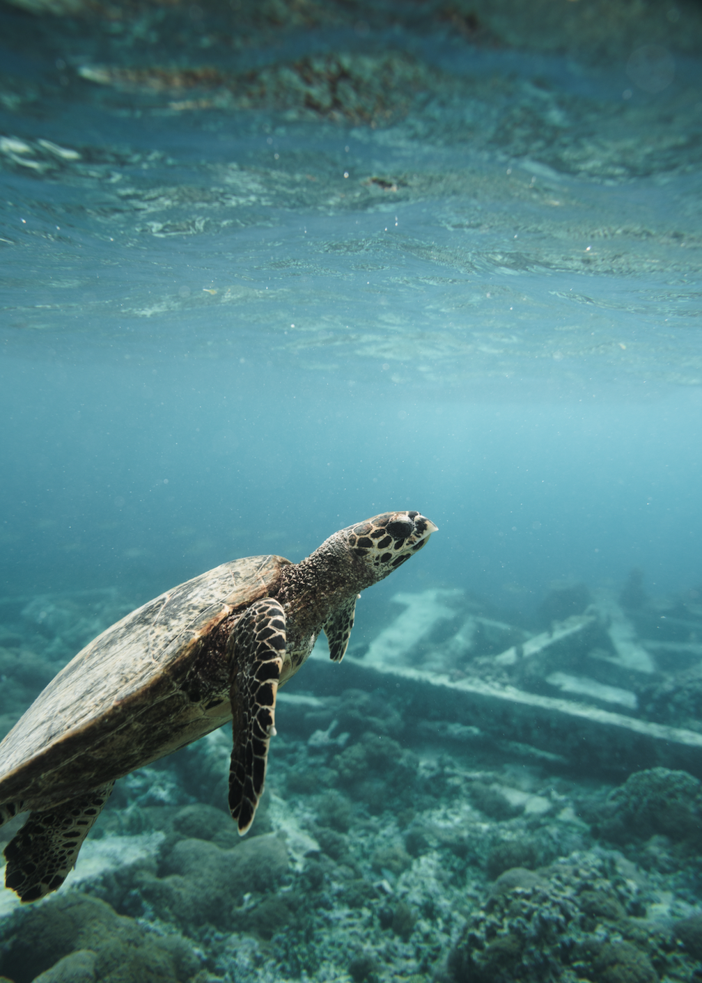 Screen Shot 2026-04-23 at 11.41.47 AM.png