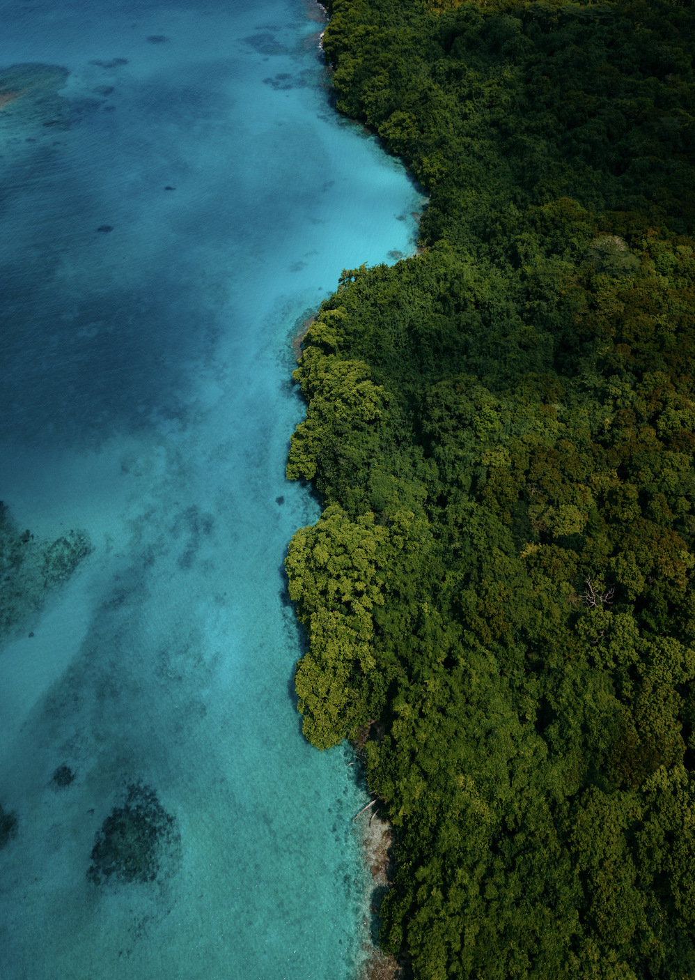 Screen Shot 2026-03-28 at 5.42.47 PM.png