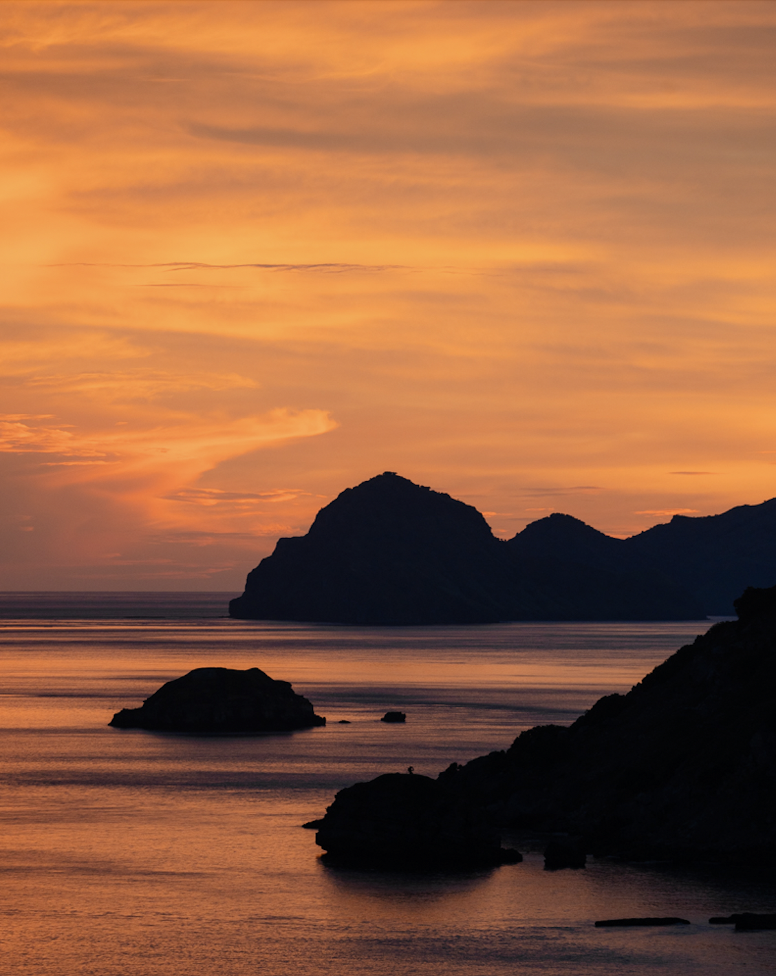 Screen Shot 2026-04-23 at 11.36.17 AM.png