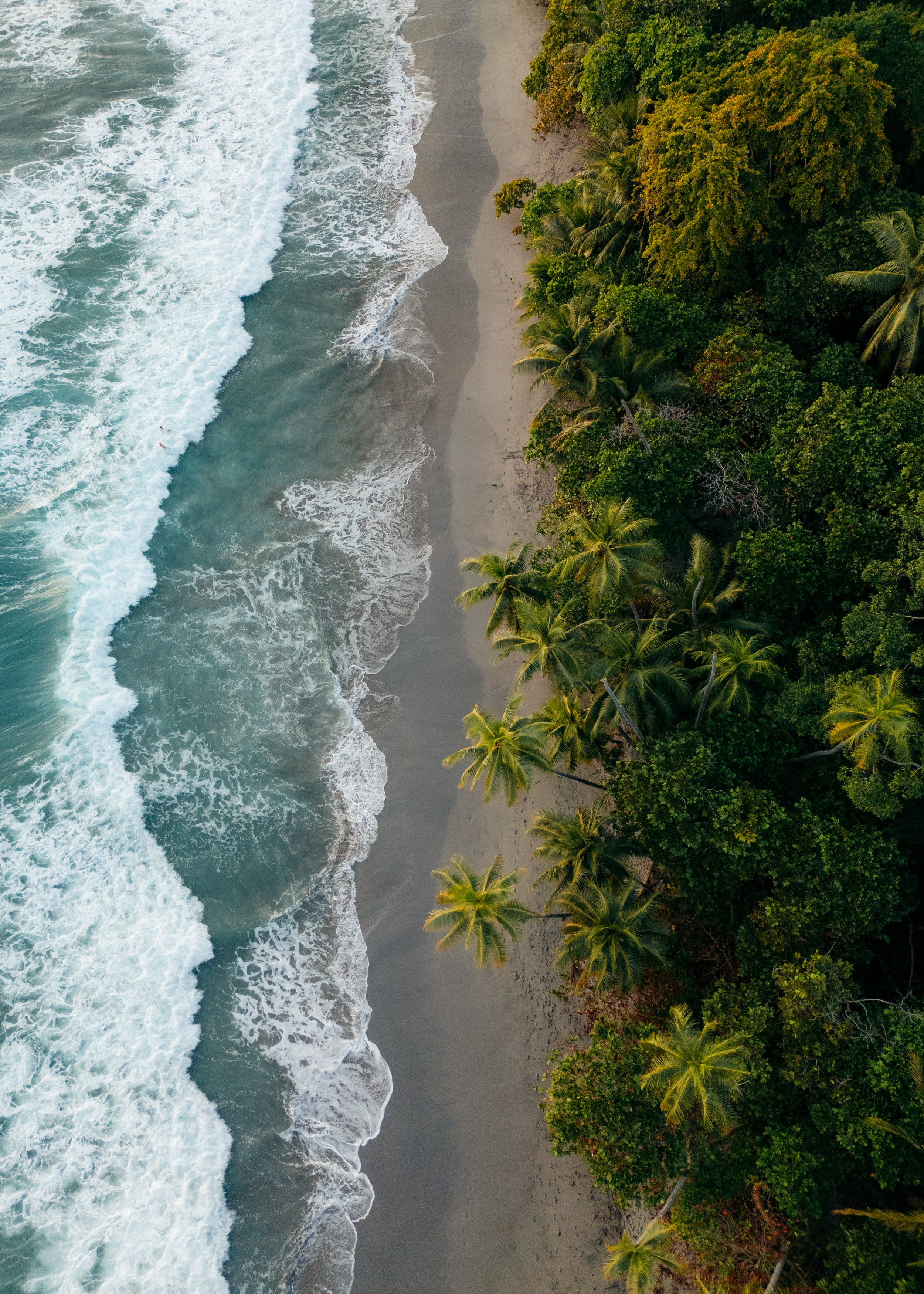 DJI_0256.jpg
