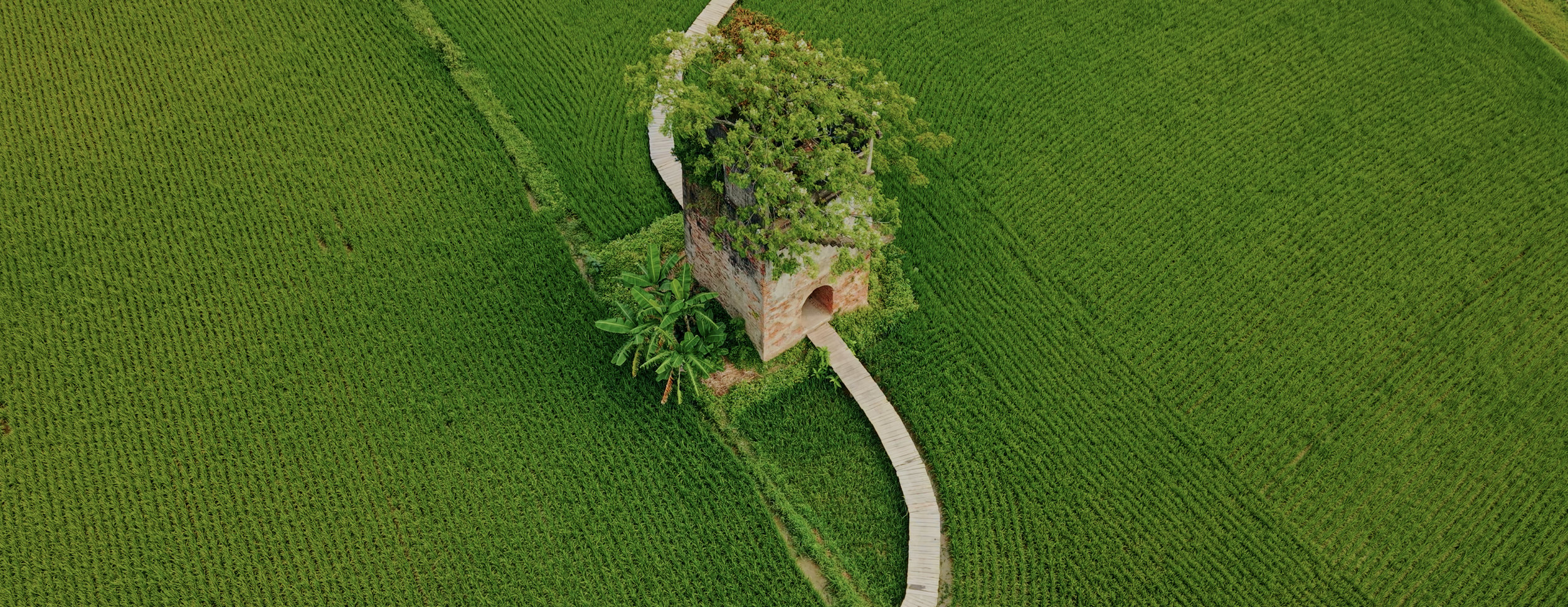 Screen Shot 2026-03-04 at 6.25.04 PM.png