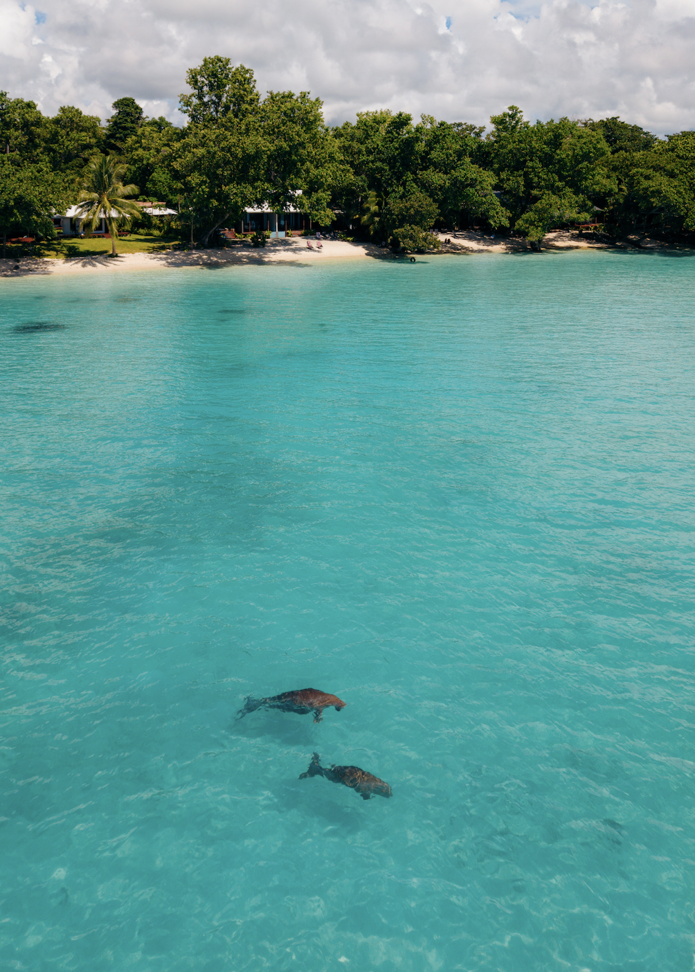 Screen Shot 2026-03-28 at 5.44.46 PM.png