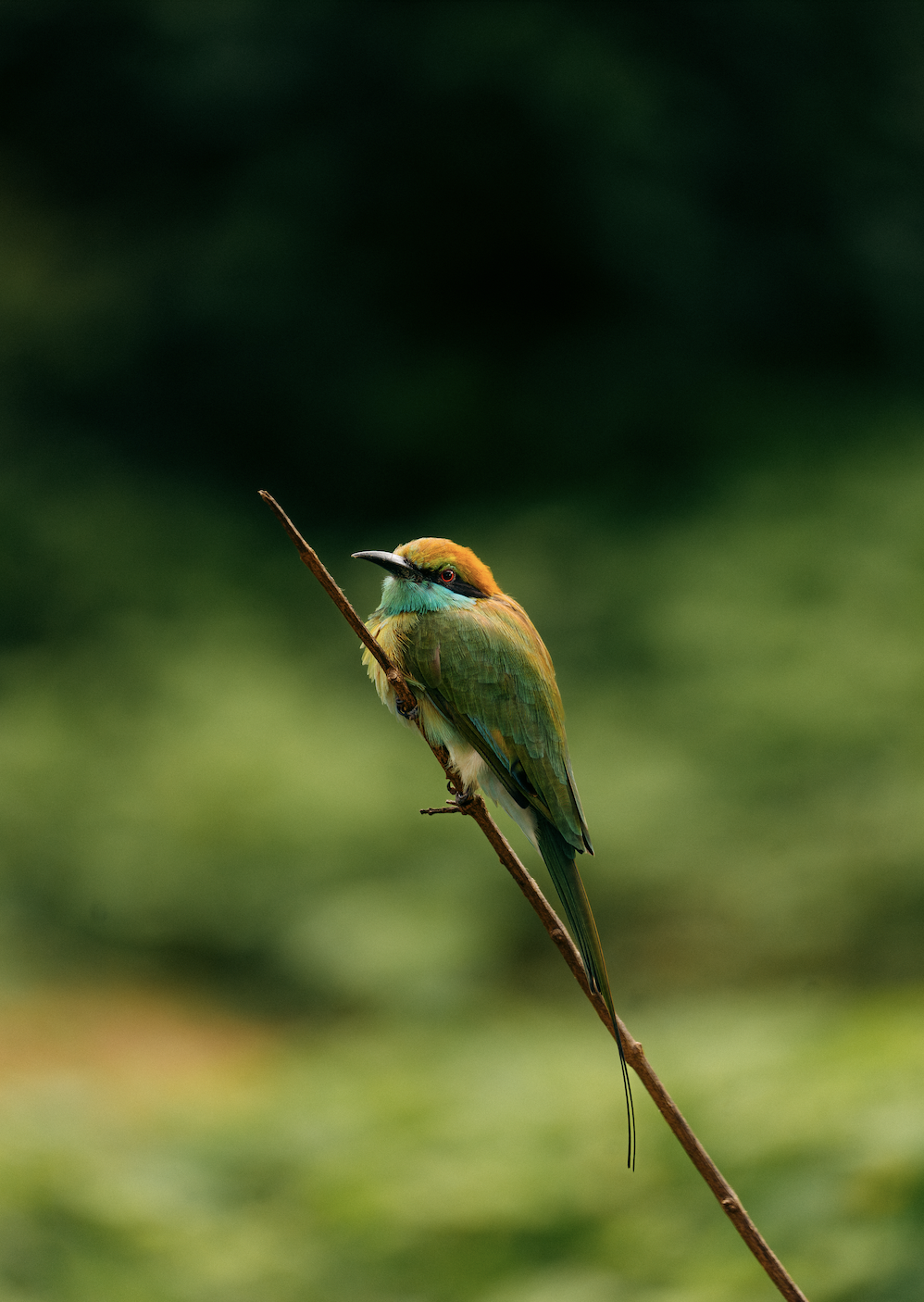 Screen Shot 2025-12-07 at 12.33.27 PM.png