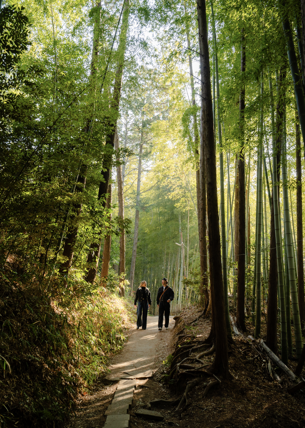 Screen Shot 2026-02-04 at 6.31.45 PM.png