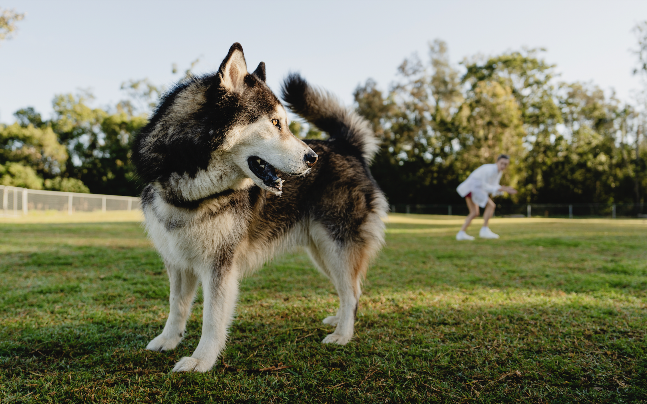 Screen Shot 2026-04-11 at 4.31.51 PM.png