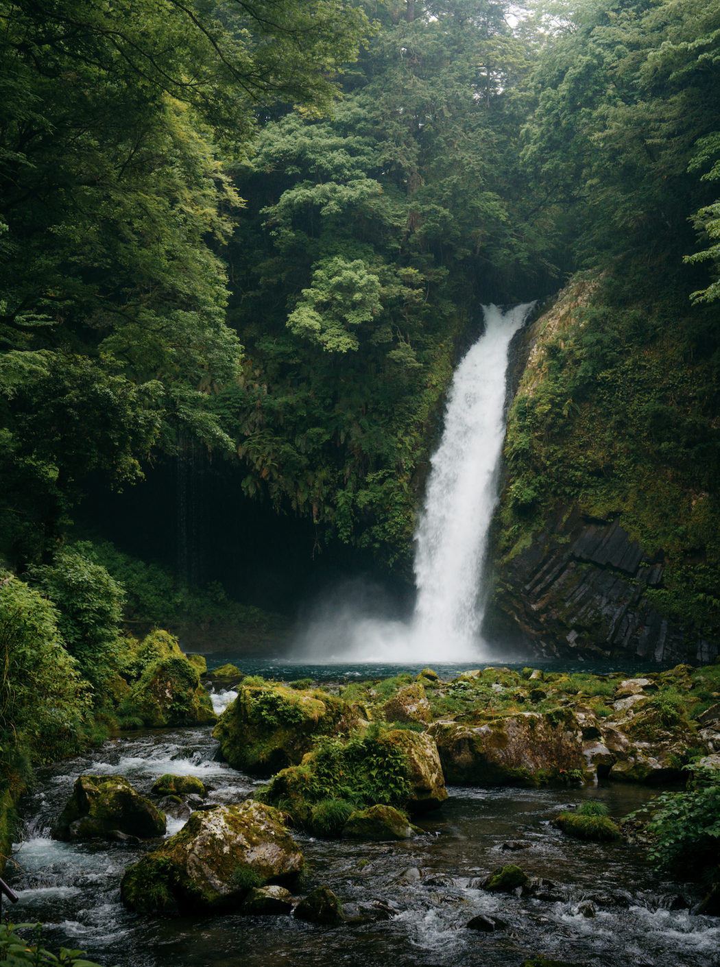 Screen Shot 2026-04-20 at 11.46.18 AM.png