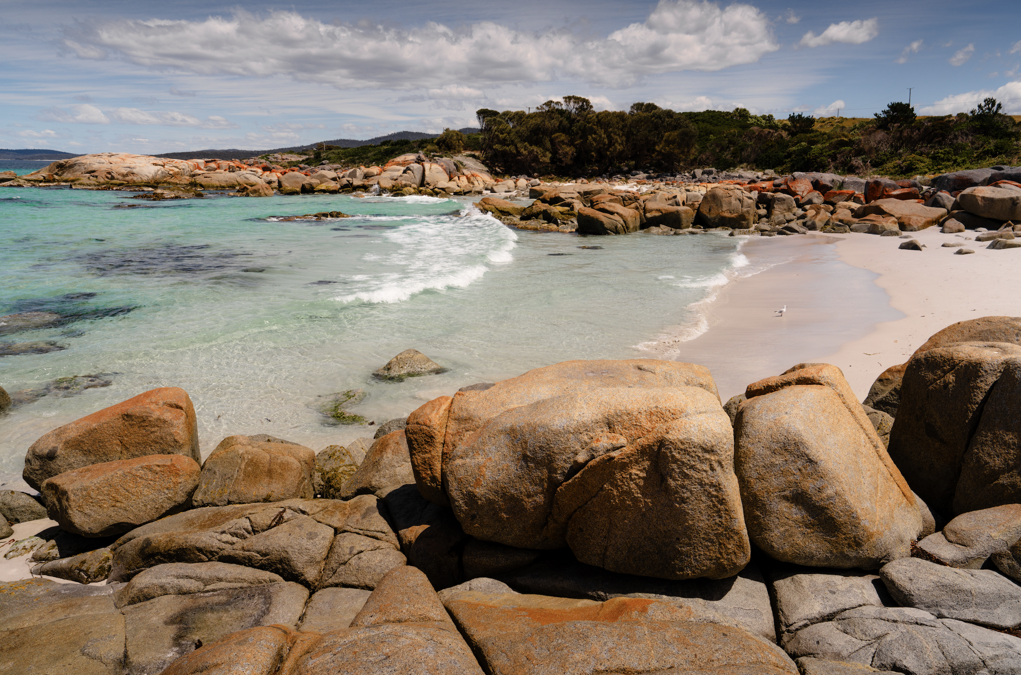 Screen Shot 2026-01-07 at 12.01.31 PM.png