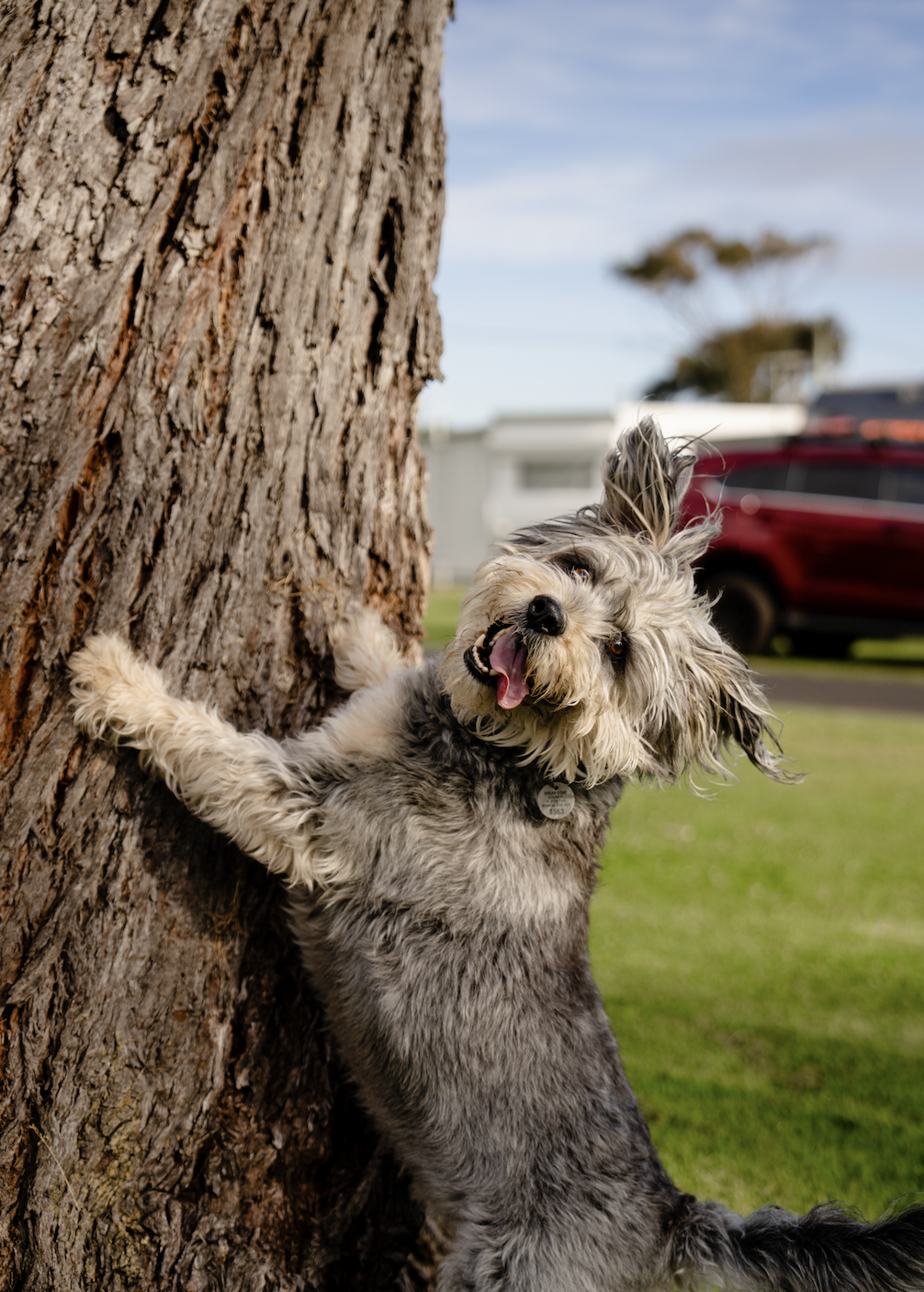 Screen Shot 2026-04-11 at 4.15.48 PM.png