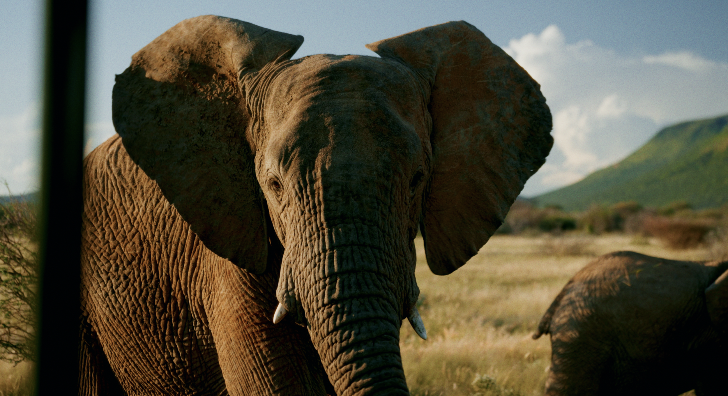 Screen Shot 2025-06-26 at 11.25.34 AM.png