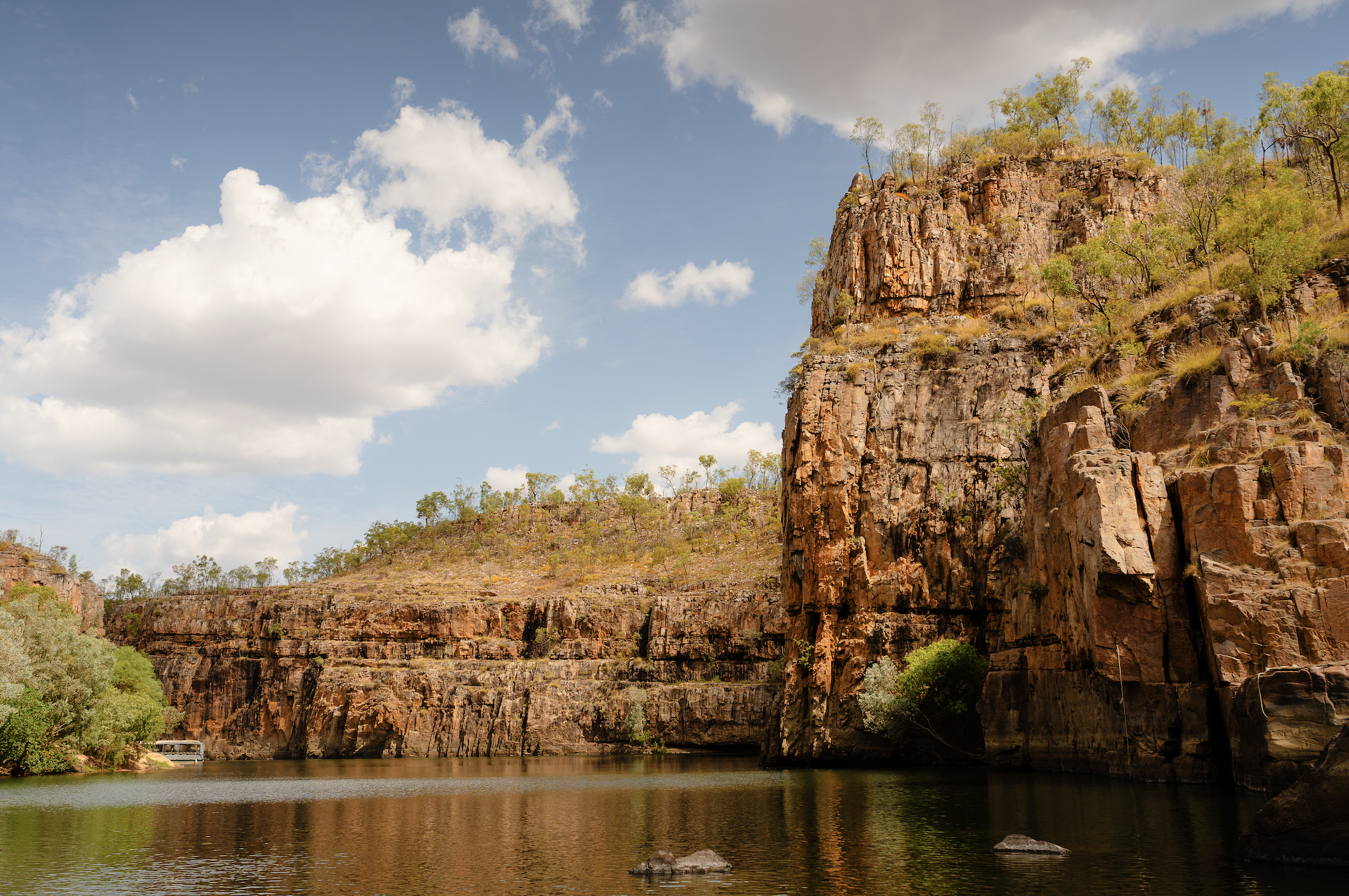 Screen Shot 2025-10-31 at 10.46.35 AM.png