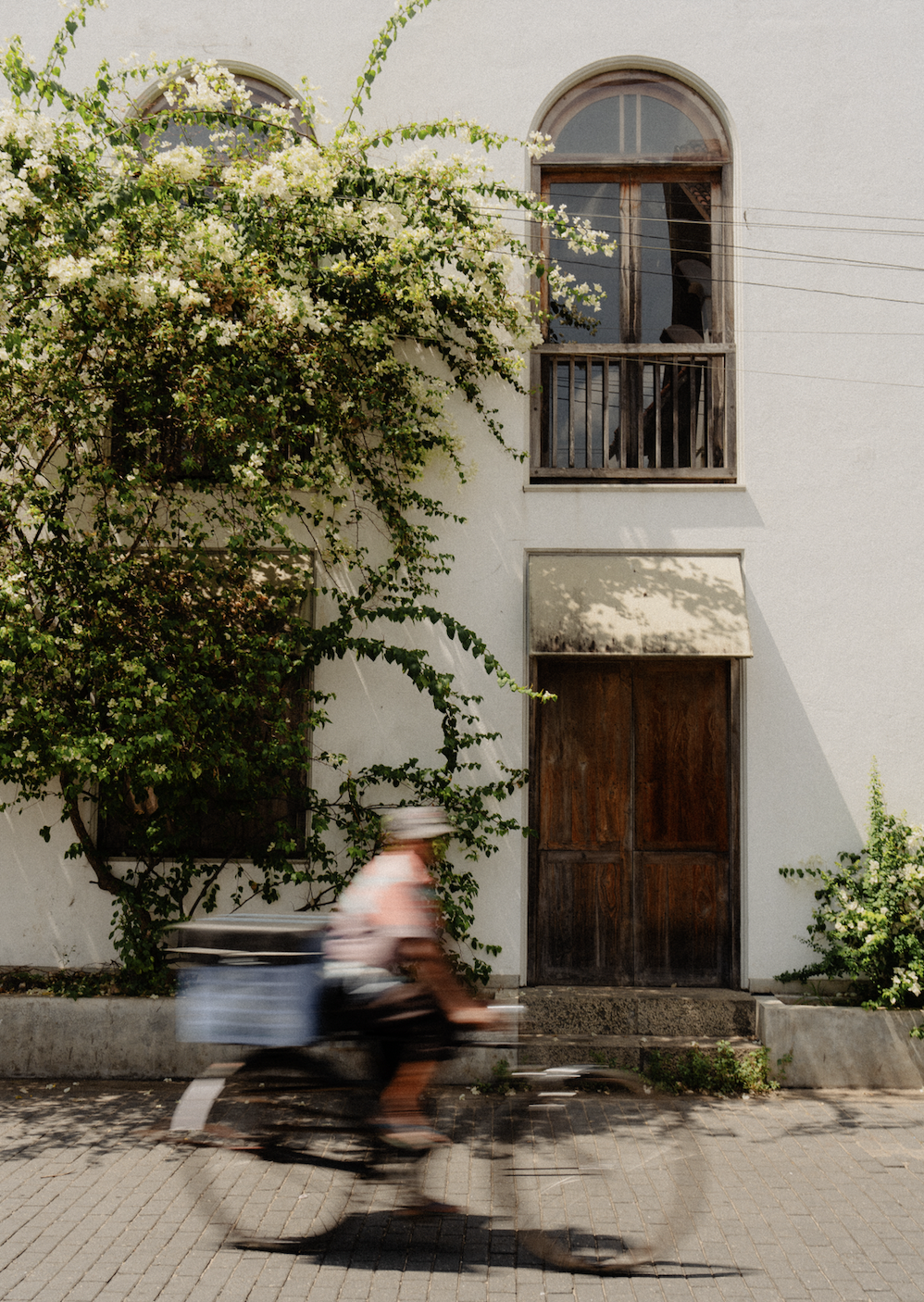 Screen Shot 2025-12-07 at 12.37.47 PM.png