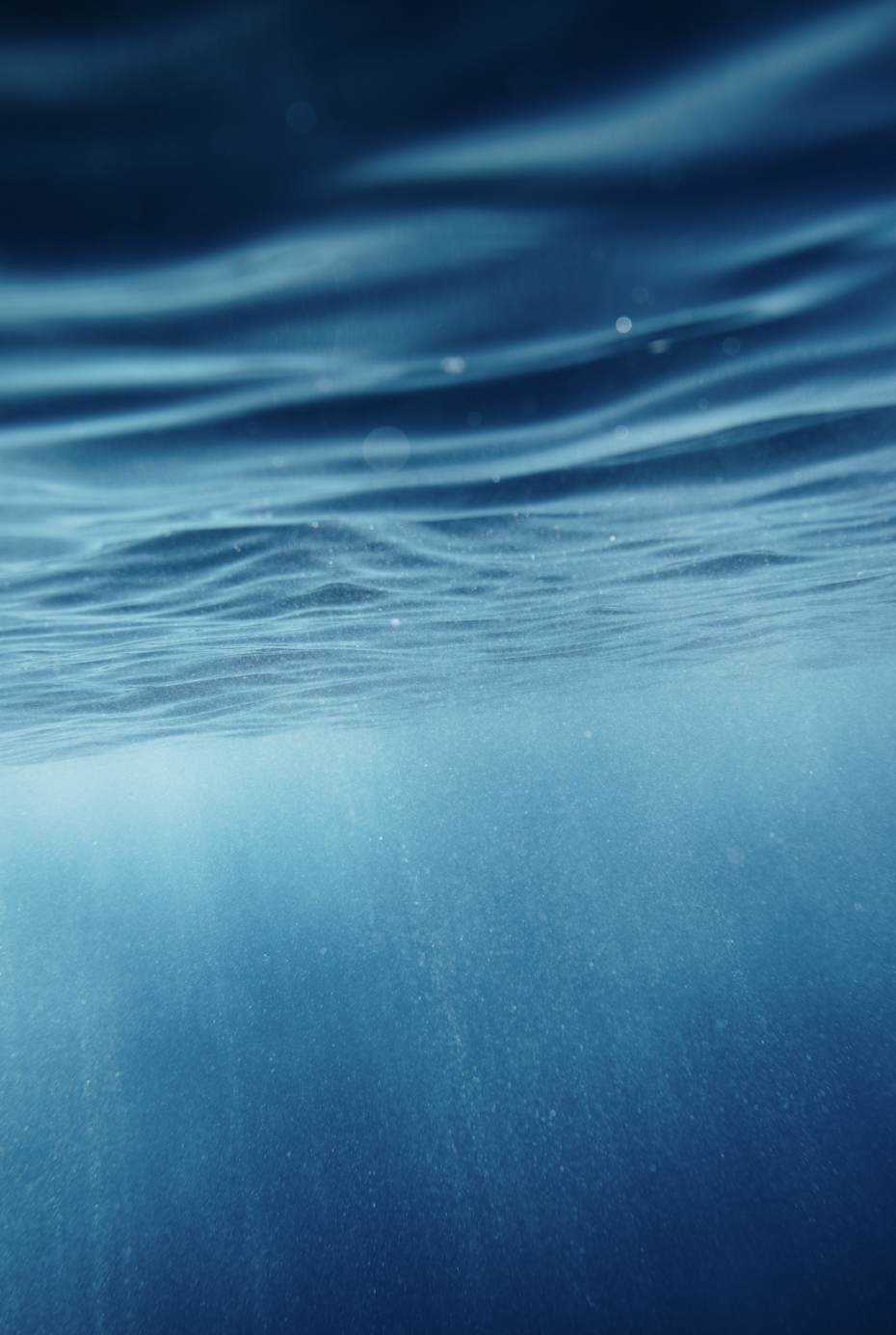 Screen Shot 2026-04-23 at 11.41.11 AM.png