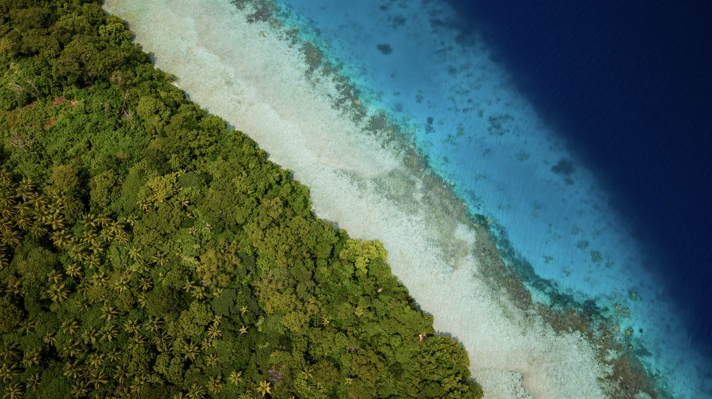 Screen Shot 2026-03-28 at 5.43.41 PM.png