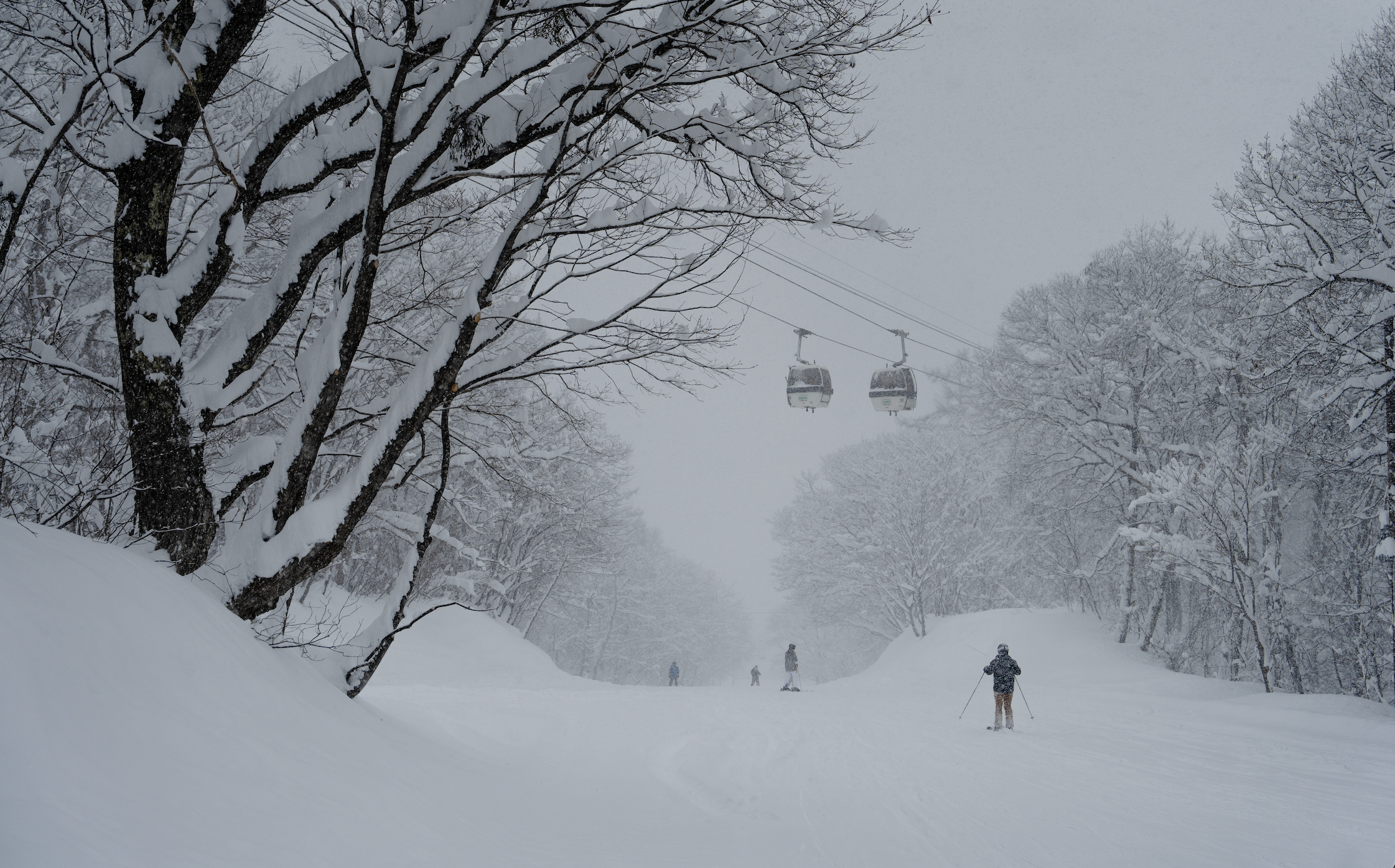 Screen Shot 2026-01-24 at 9.35.11 PM.png