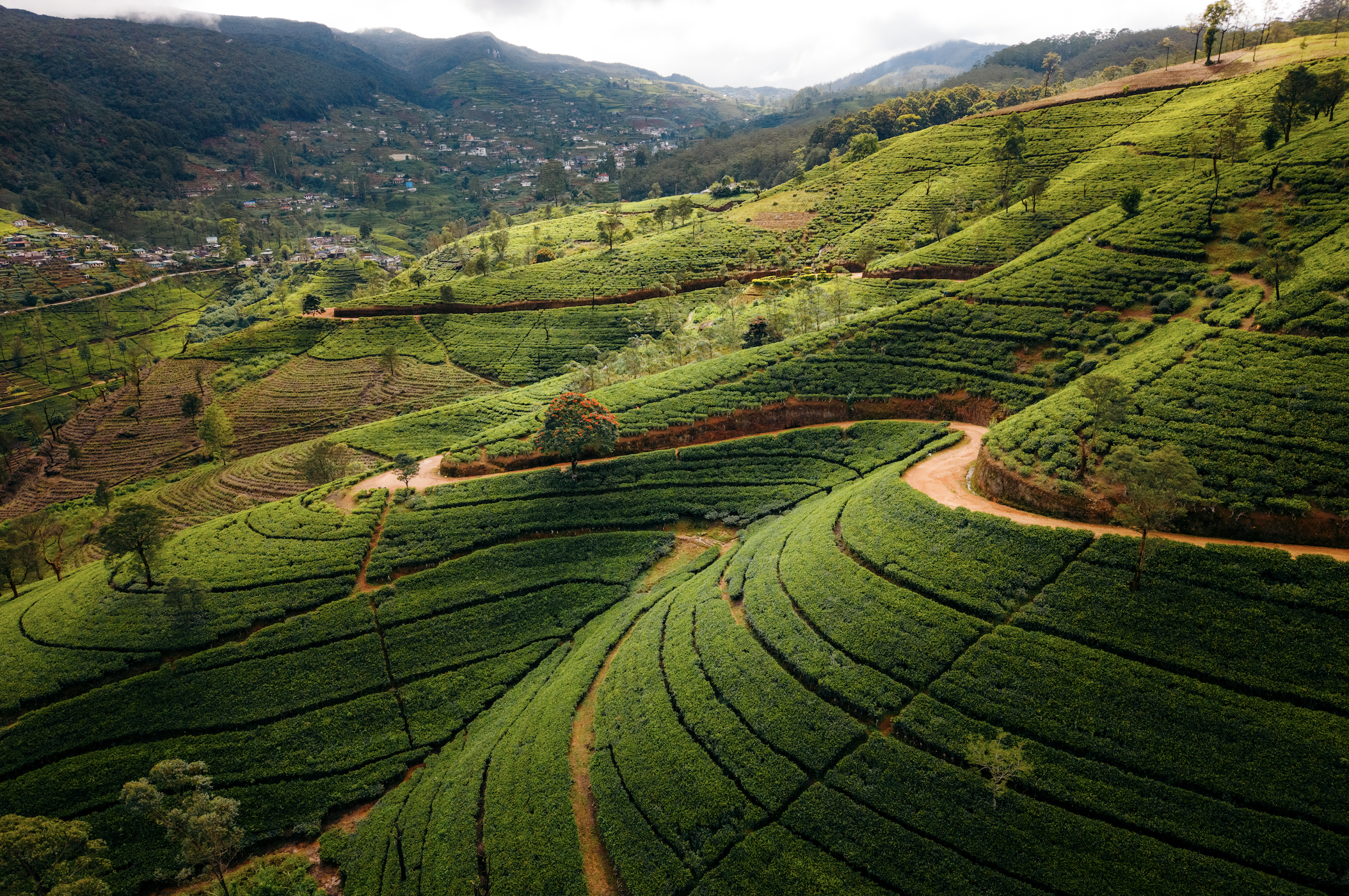 Screen Shot 2025-11-30 at 11.55.53 AM.png