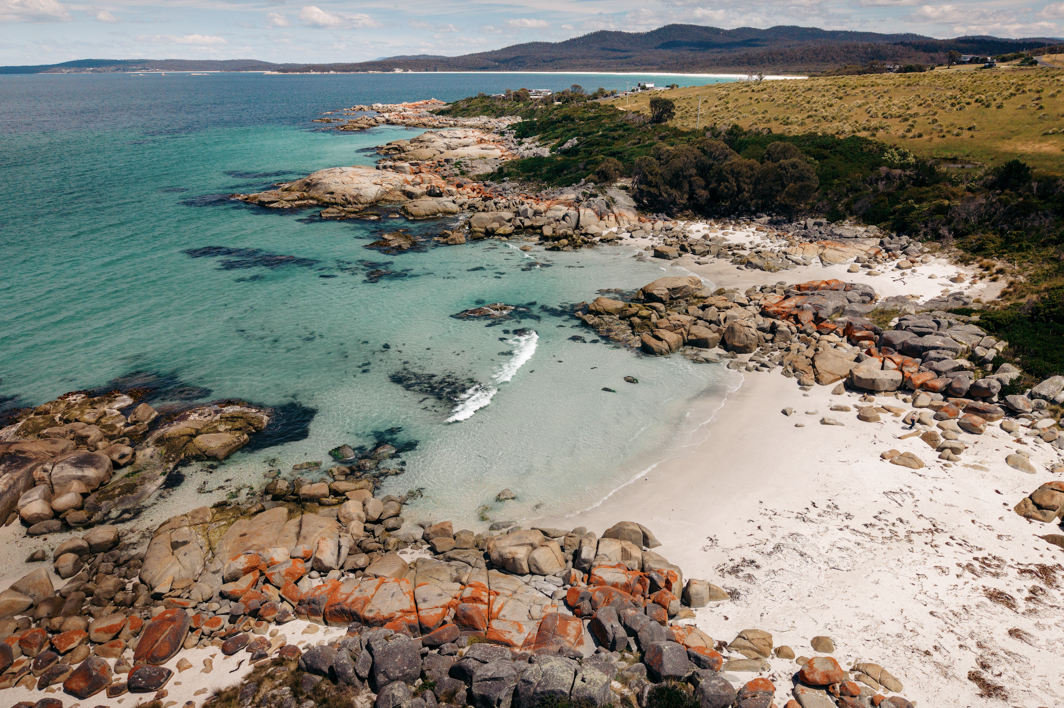 Screen Shot 2026-01-07 at 12.02.02 PM.png