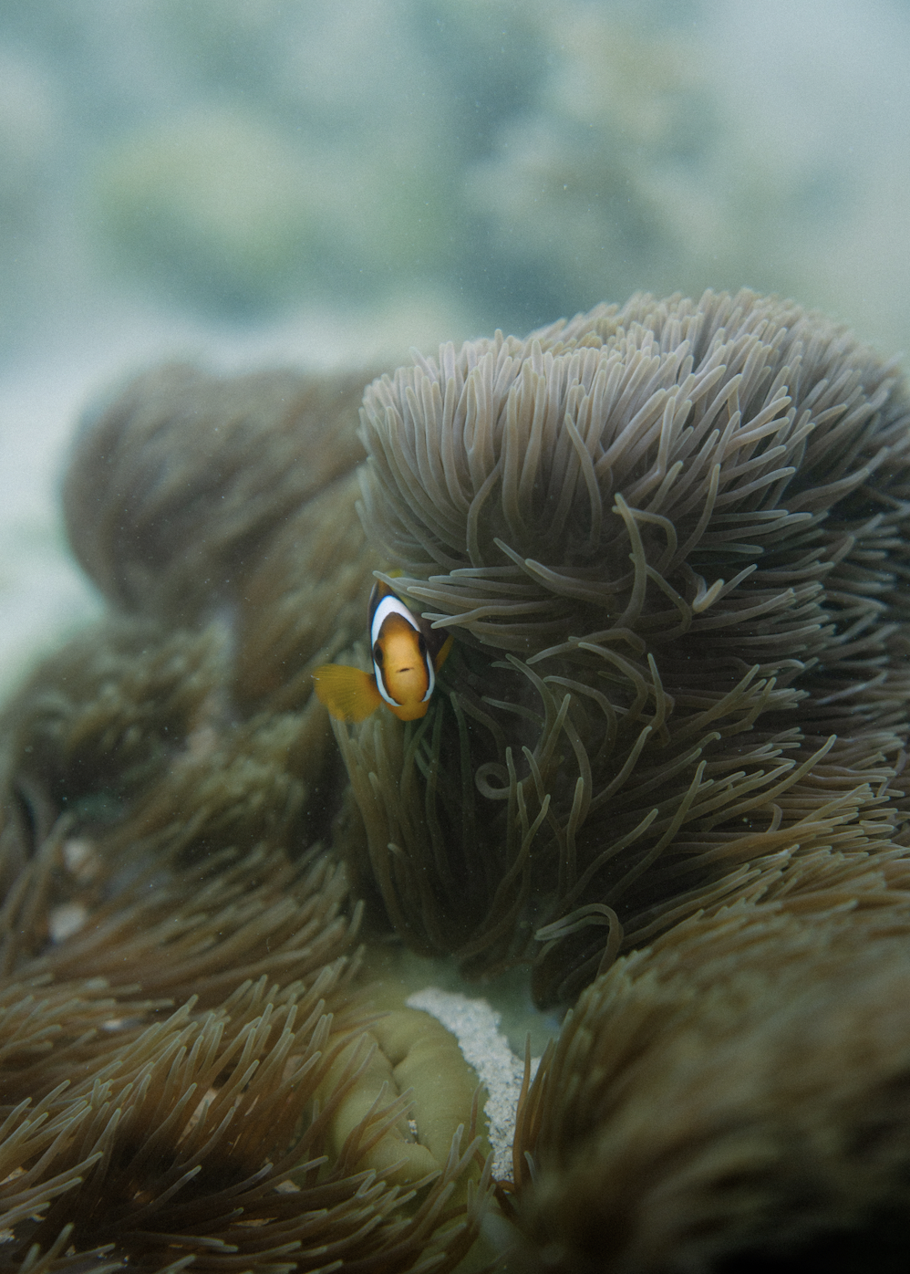 Screen Shot 2026-03-28 at 5.31.32 PM.png