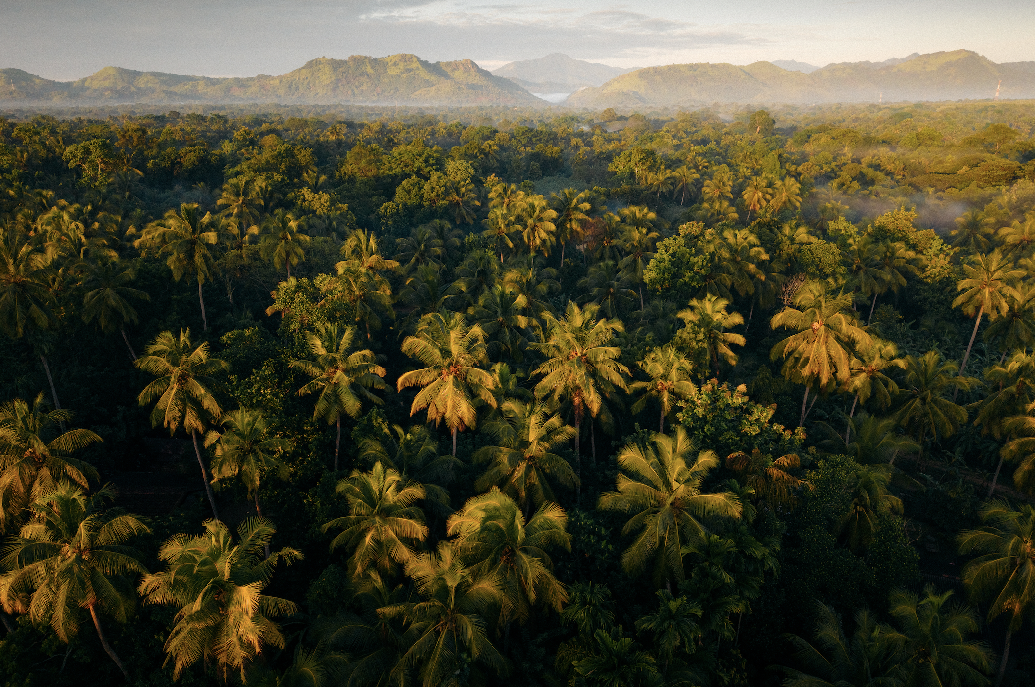 Screen Shot 2025-12-07 at 12.38.29 PM.png