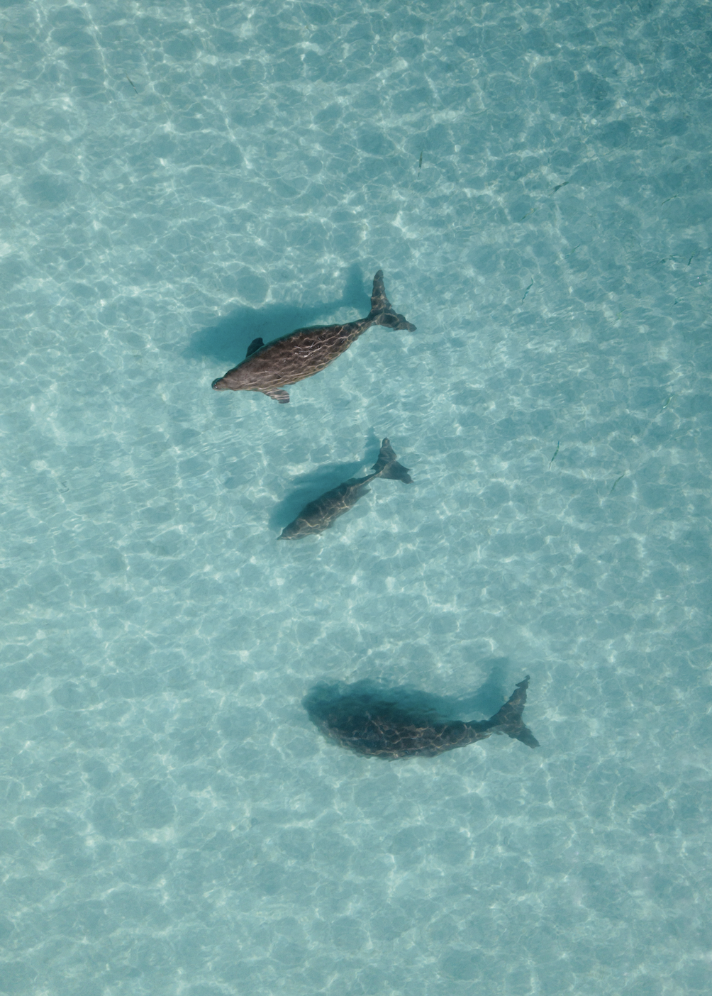 Screen Shot 2026-03-28 at 5.44.32 PM.png