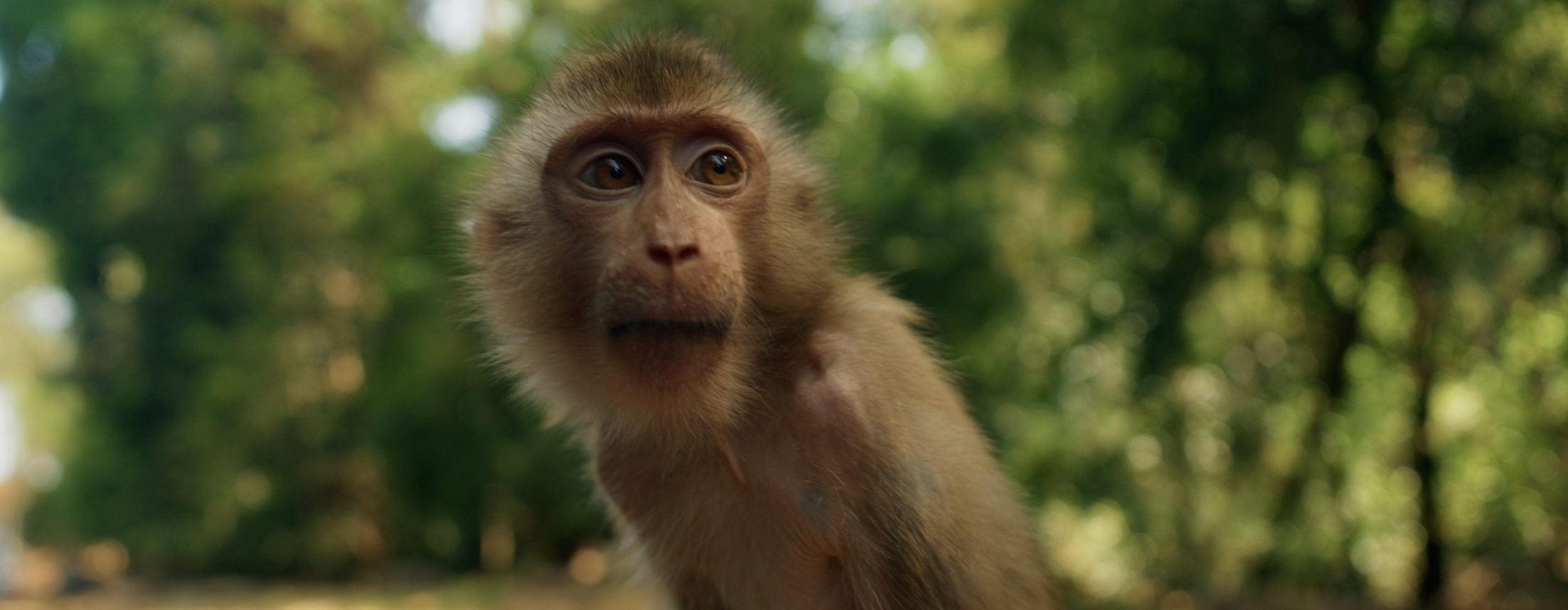 Screen Shot 2026-03-08 at 12.58.50 PM.png