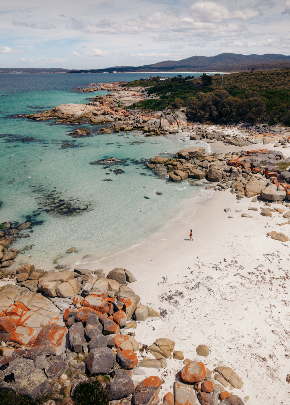 Screen Shot 2026-01-07 at 12.01.41 PM.png